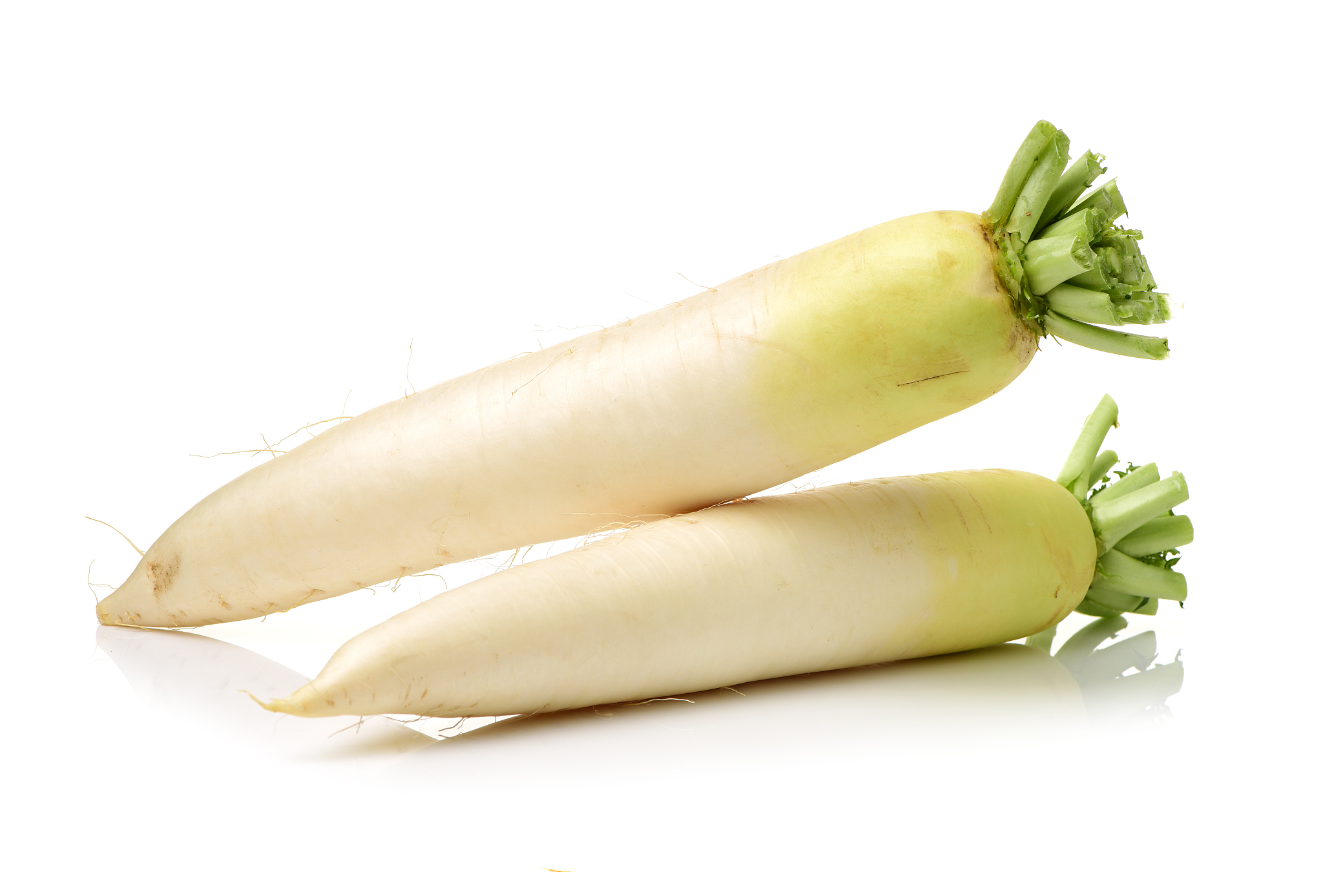 ternip on white background