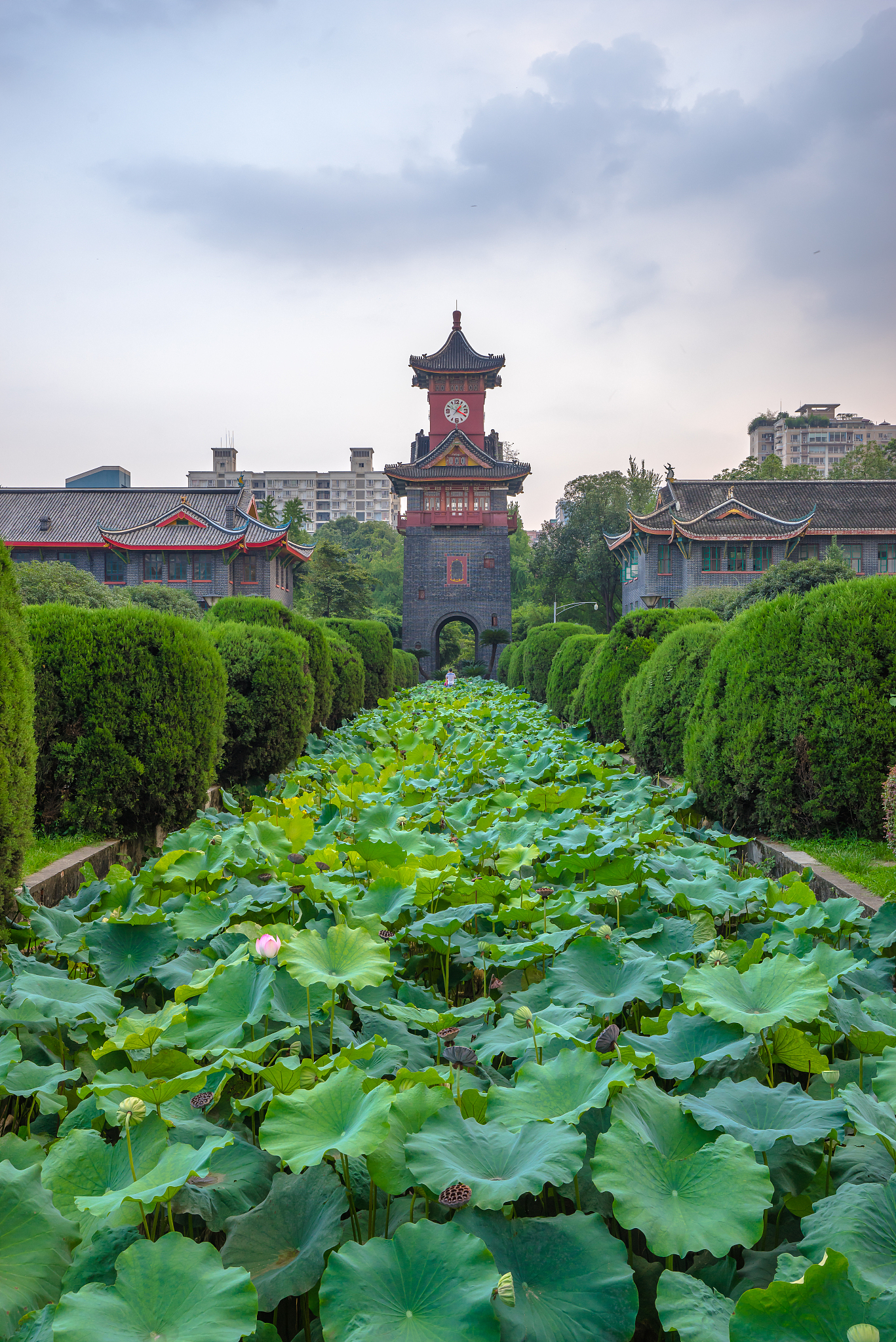 成都3+2大专院校推荐：专业、师资、地理位置全方位分析