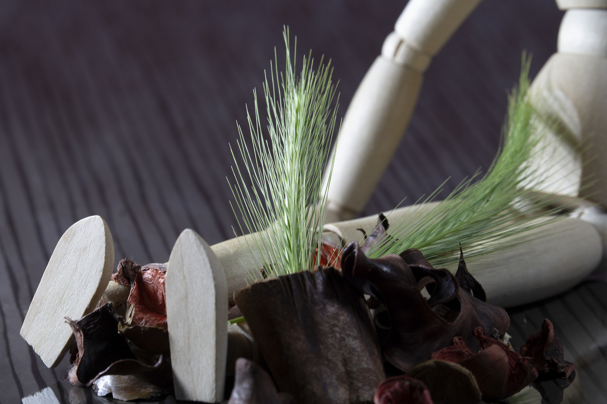 fresh cereal stalk on the legs of a wooden doll, with many dried
