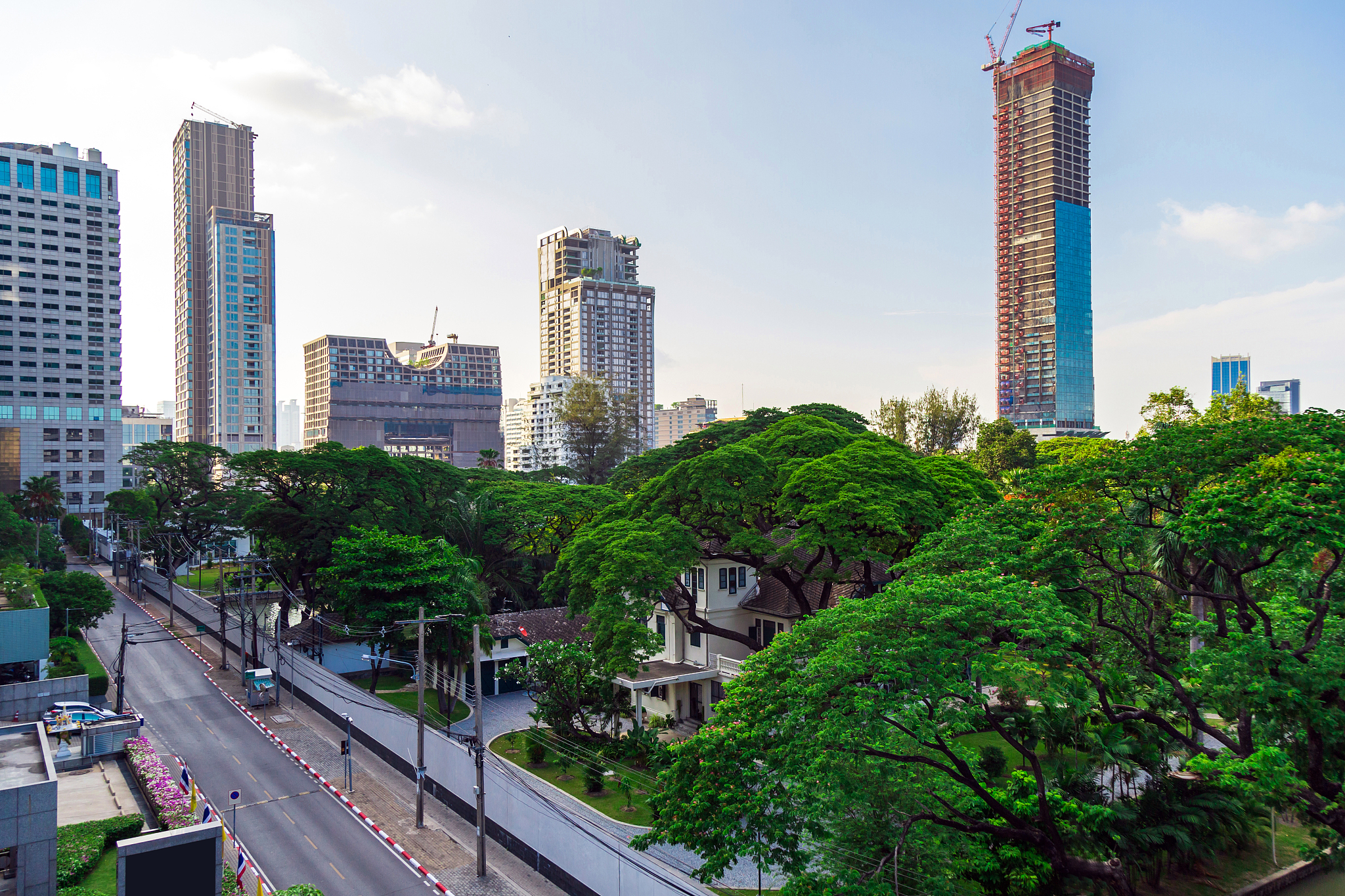 cityscape picture with many green tree with high building and sk