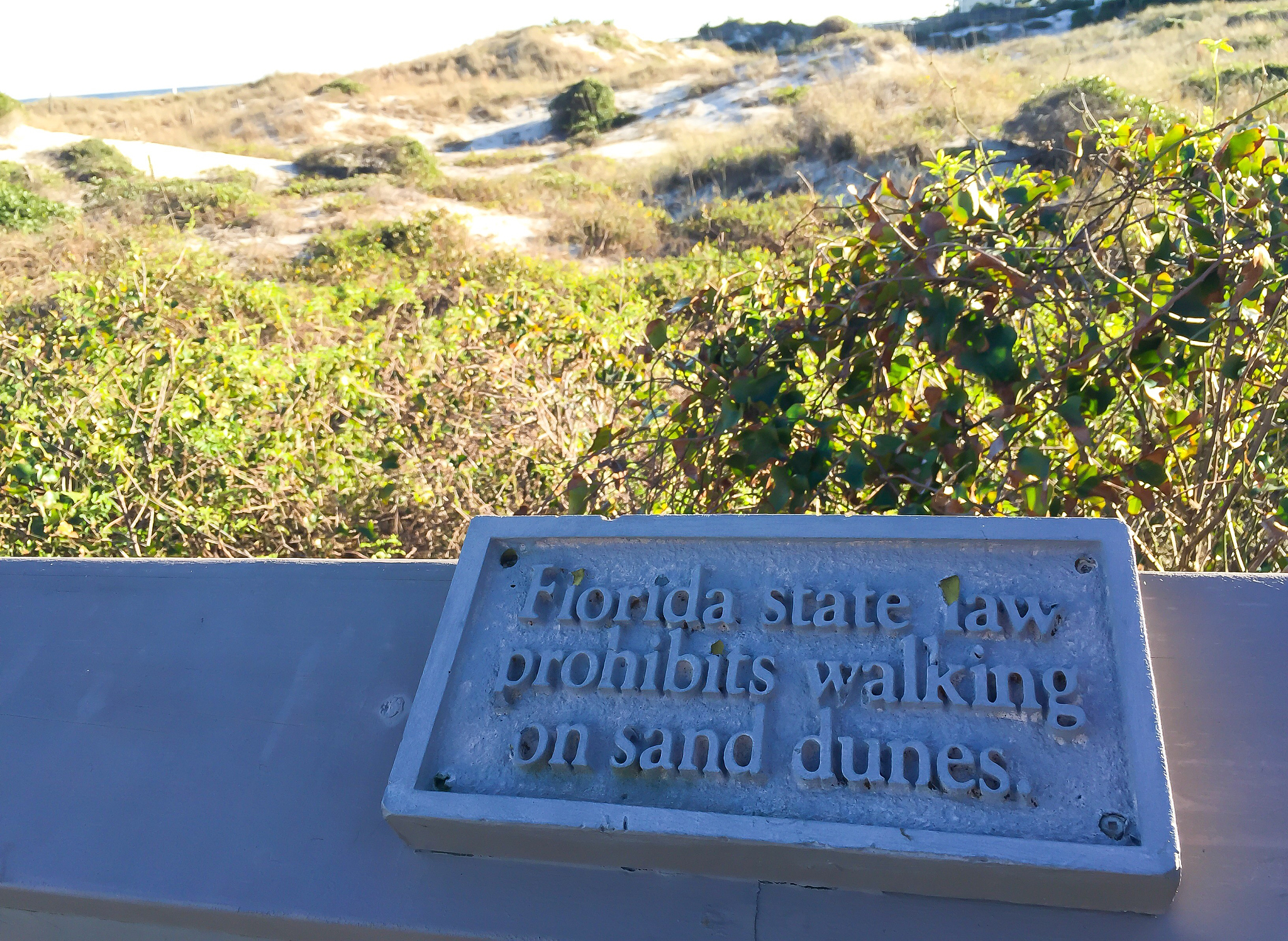 Bridging the Gap: Empowering Remote Tea Village Through Accessible Solutions