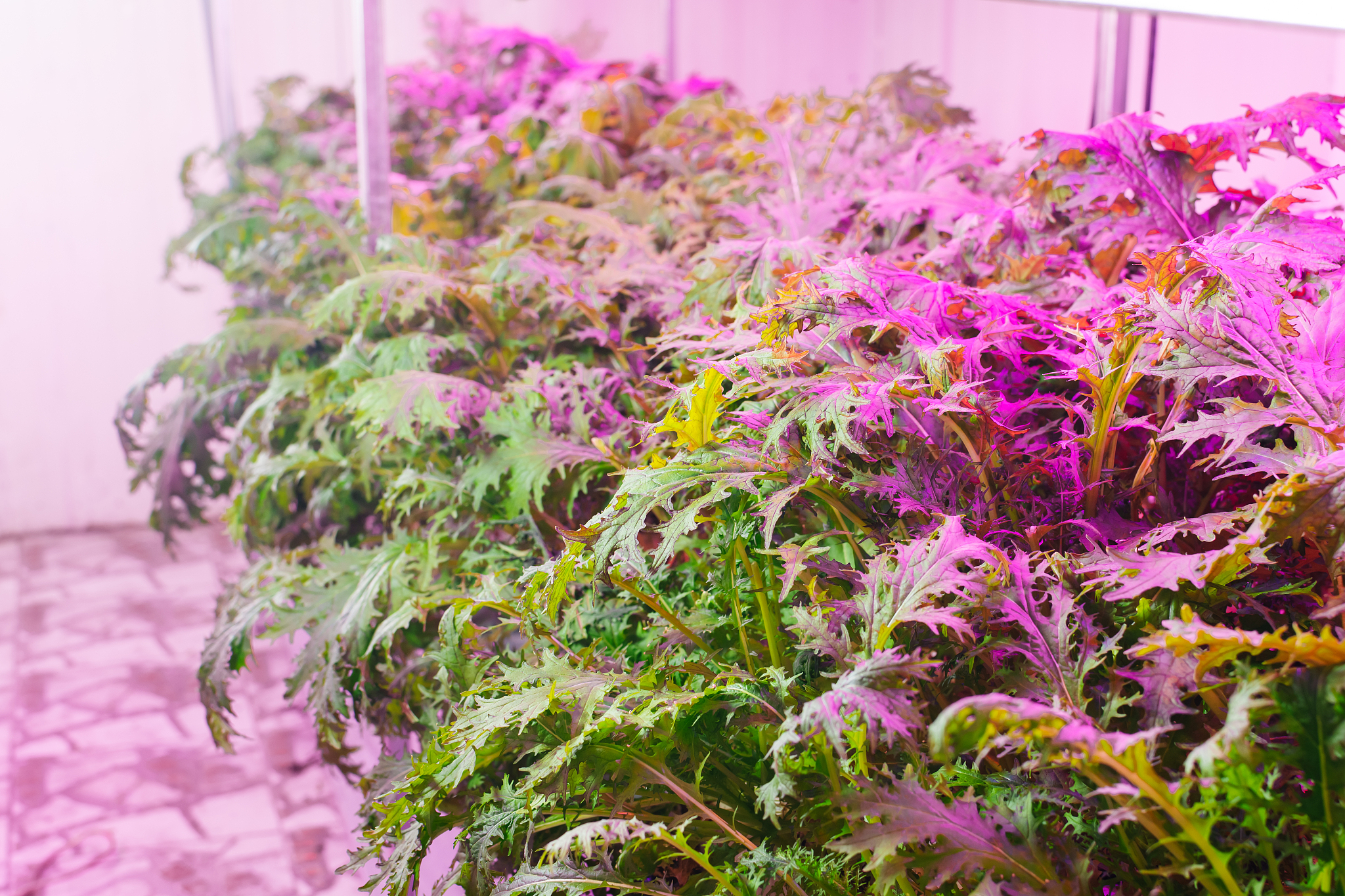 福建生物工程职业技术学院药品经营与管理专业怎么样