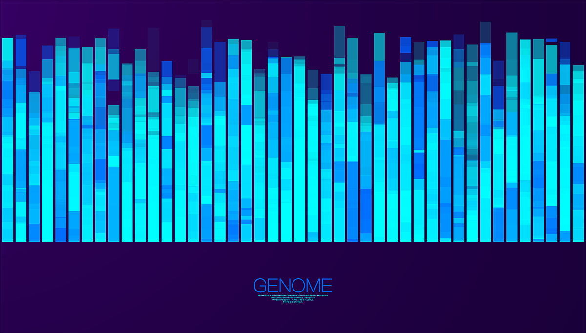 Venn图详解：意义、用途及应用领域