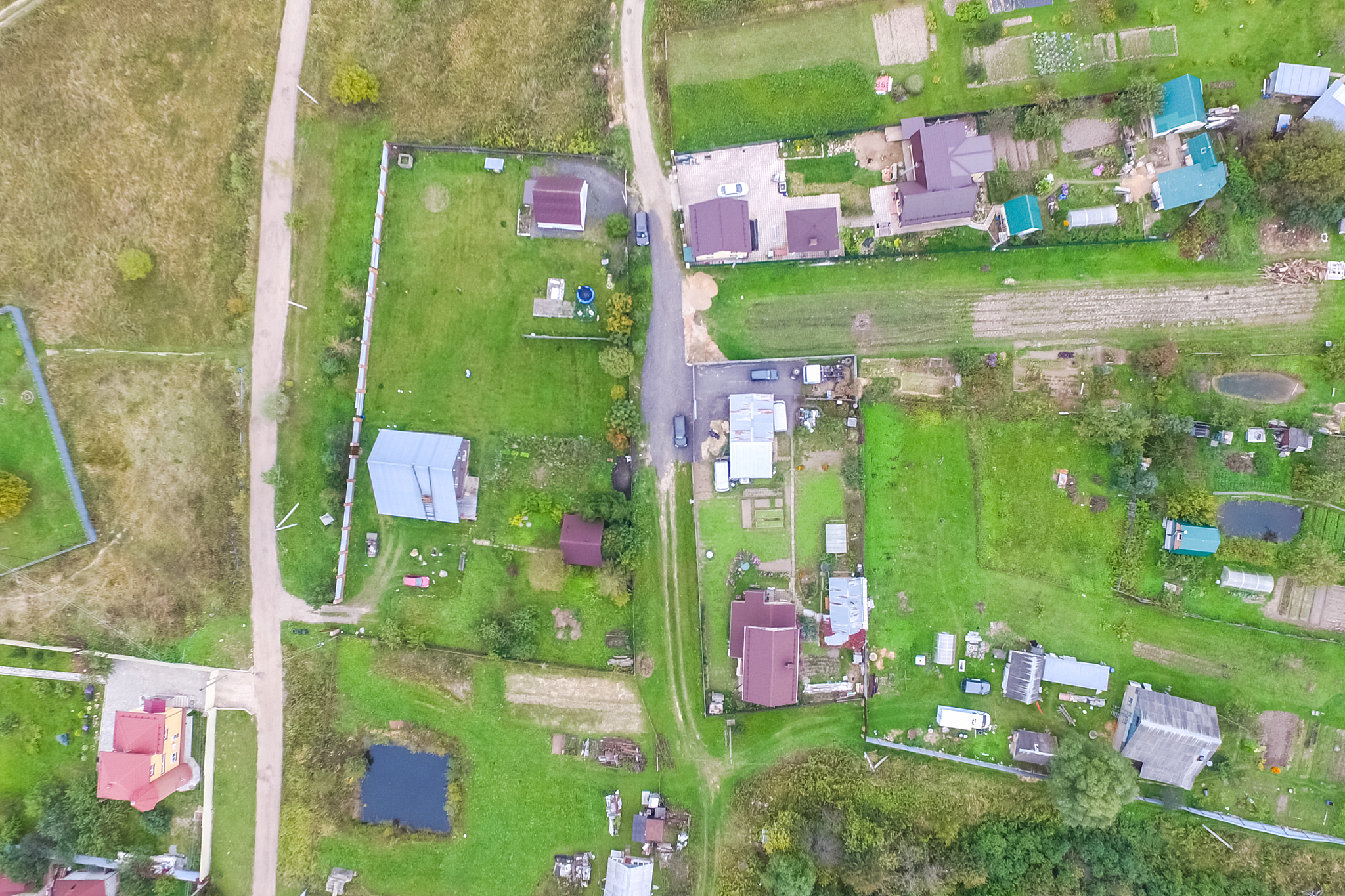 推动绿色发展，促进人与自然和谐共生：校园环保行动的启示