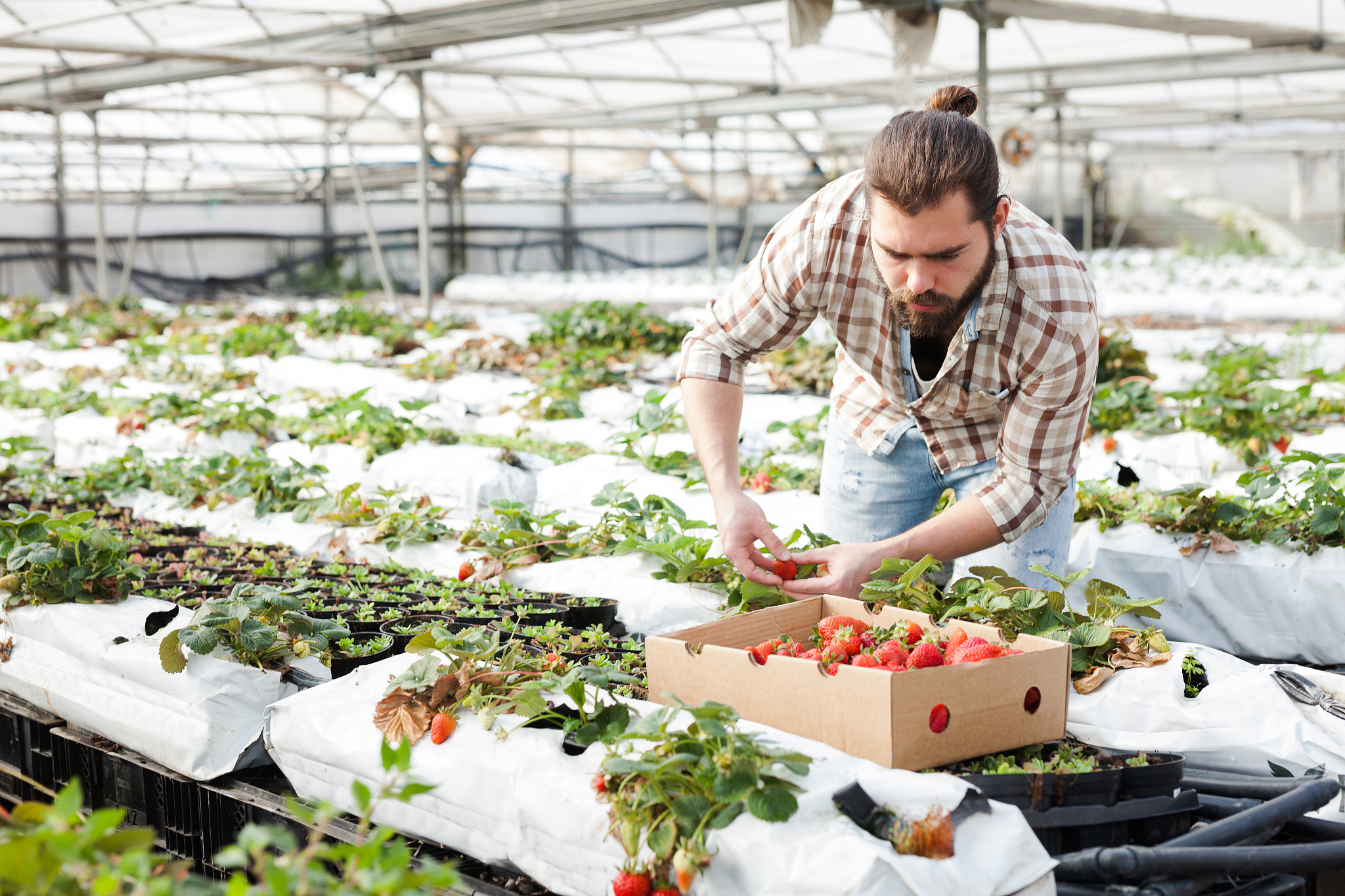 辽宁农业职业技术学院国际贸易实务专业怎么样？ - 深入解析课程内容、教学方法和就业前景