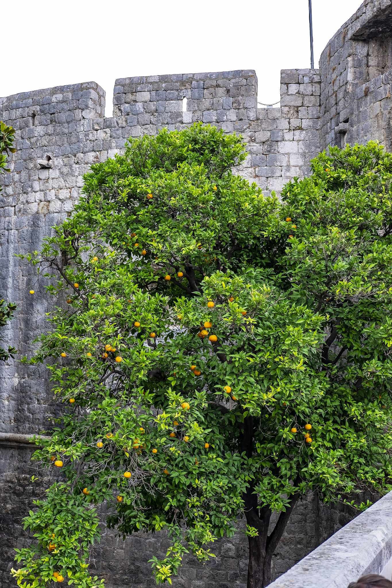 dubrovnik