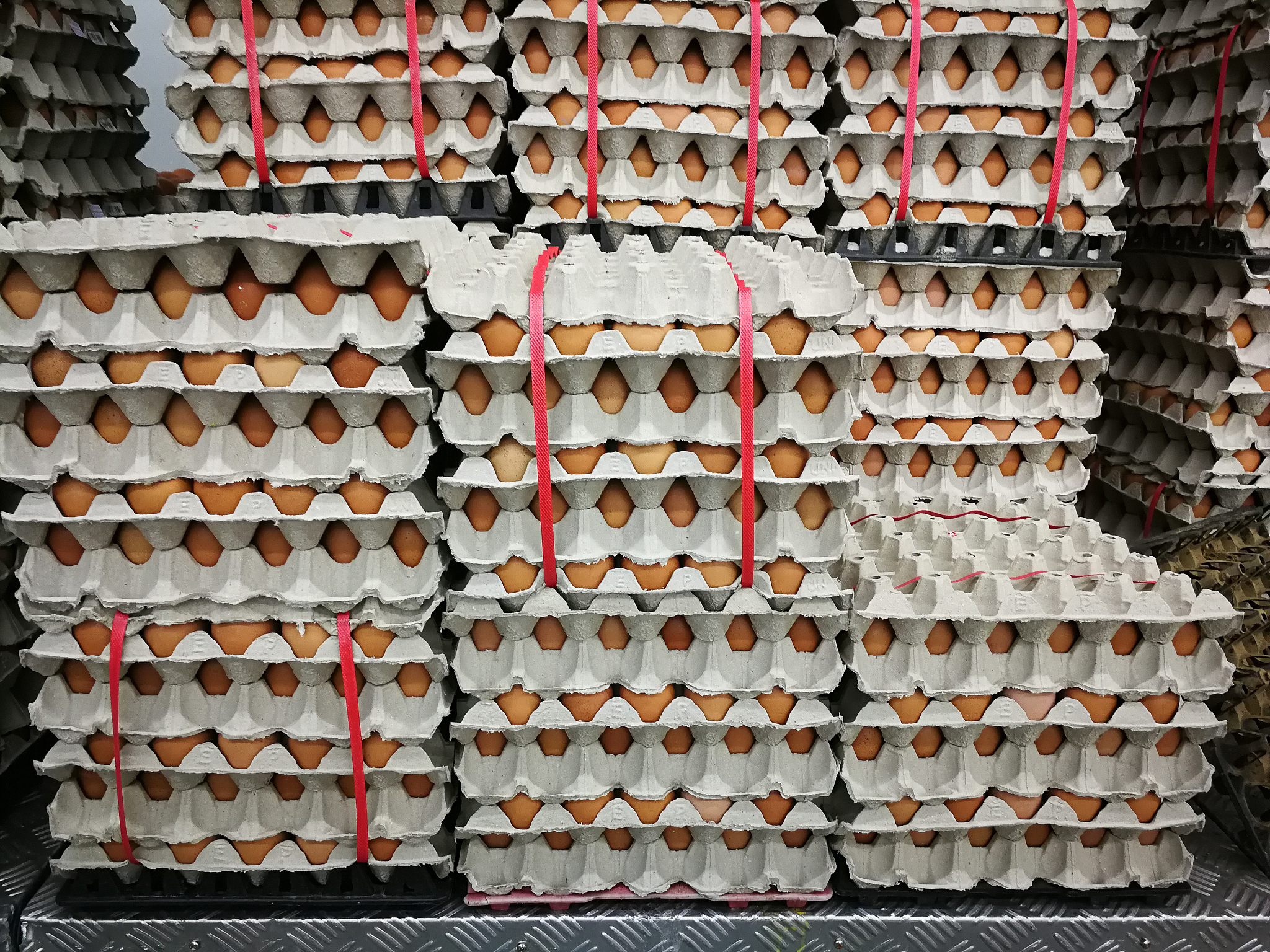 人类和鸡的组合