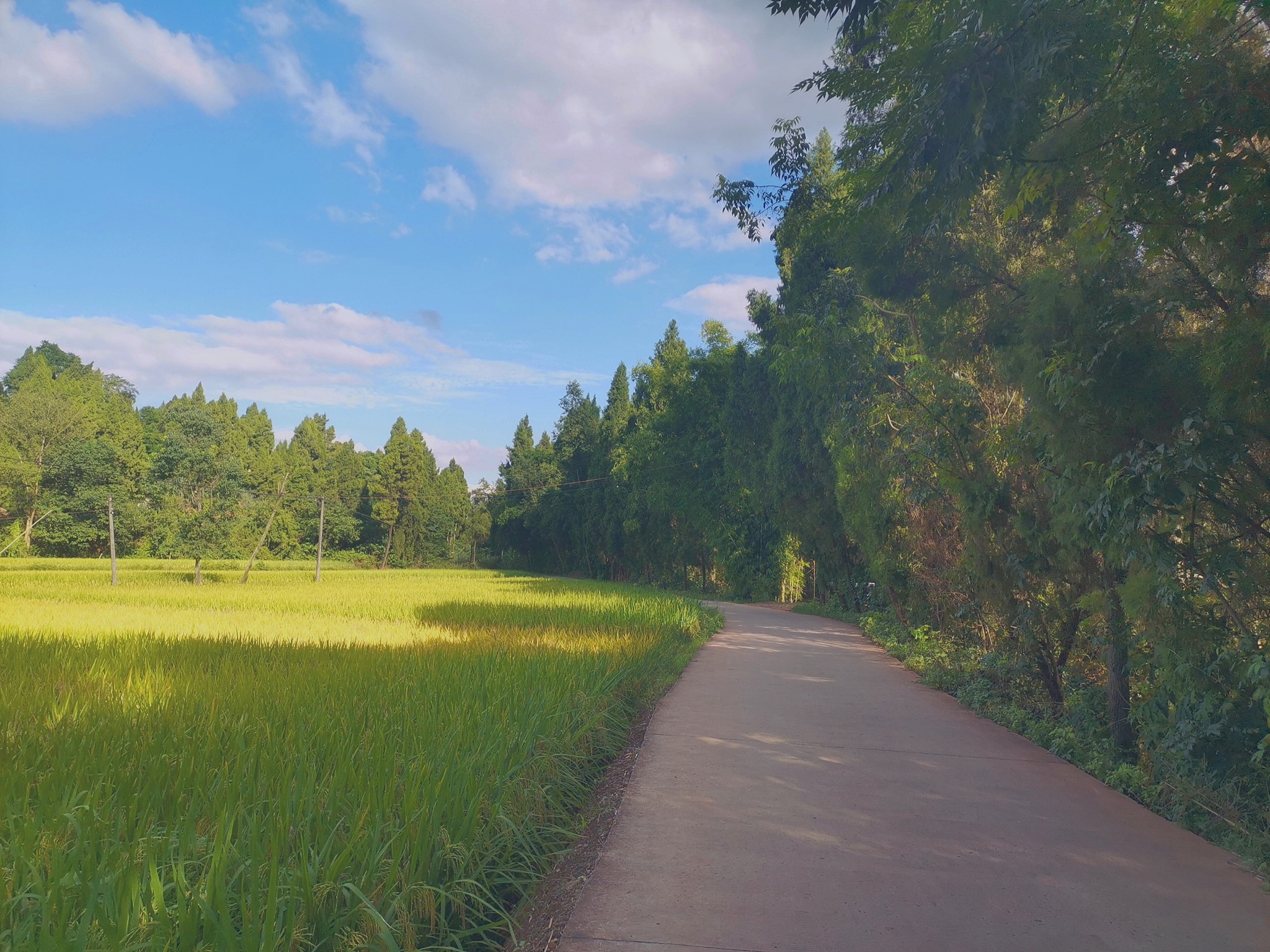 使用文化博主的口吻写篇1000字生活不止眼前的苟且还有诗和远方的田野。的文章要有和读者互动语句带标题