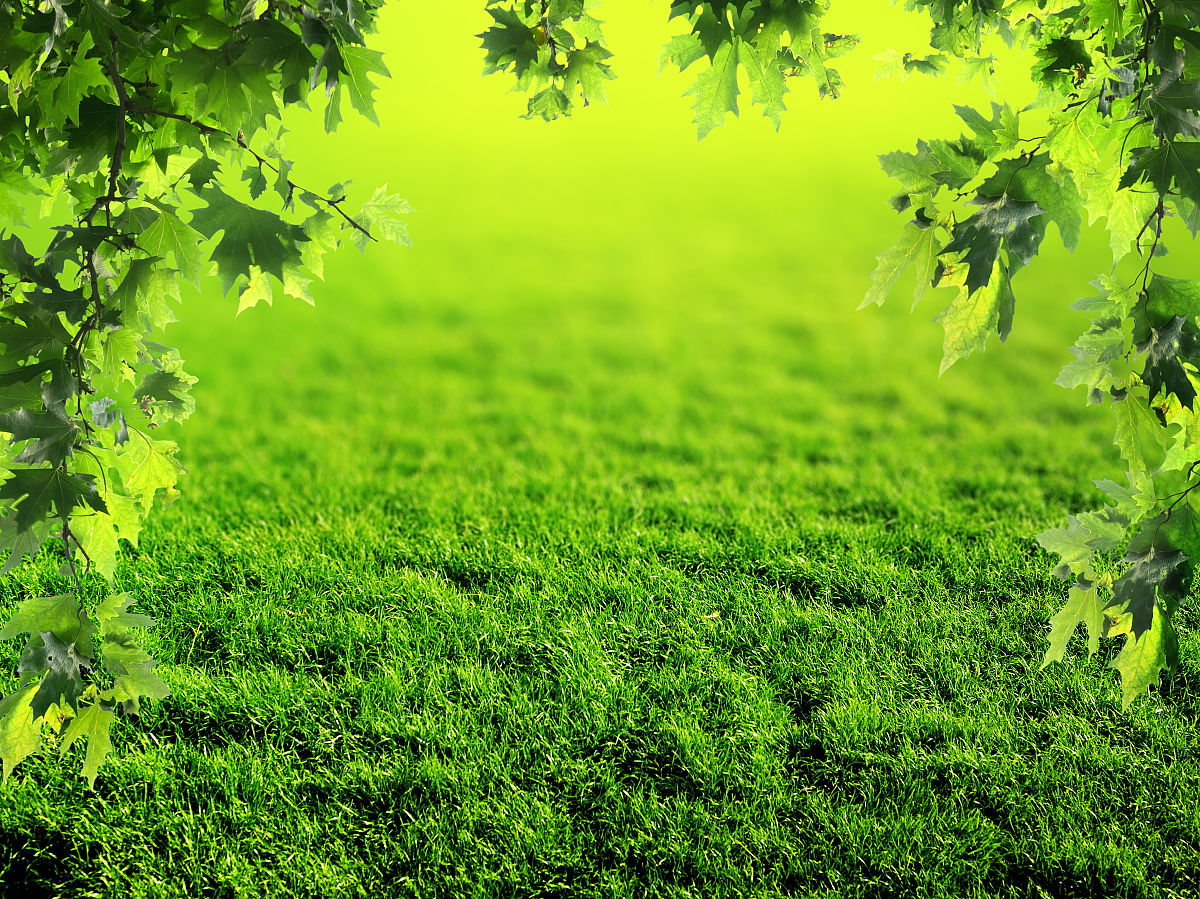 草地绿绿像什么一年级