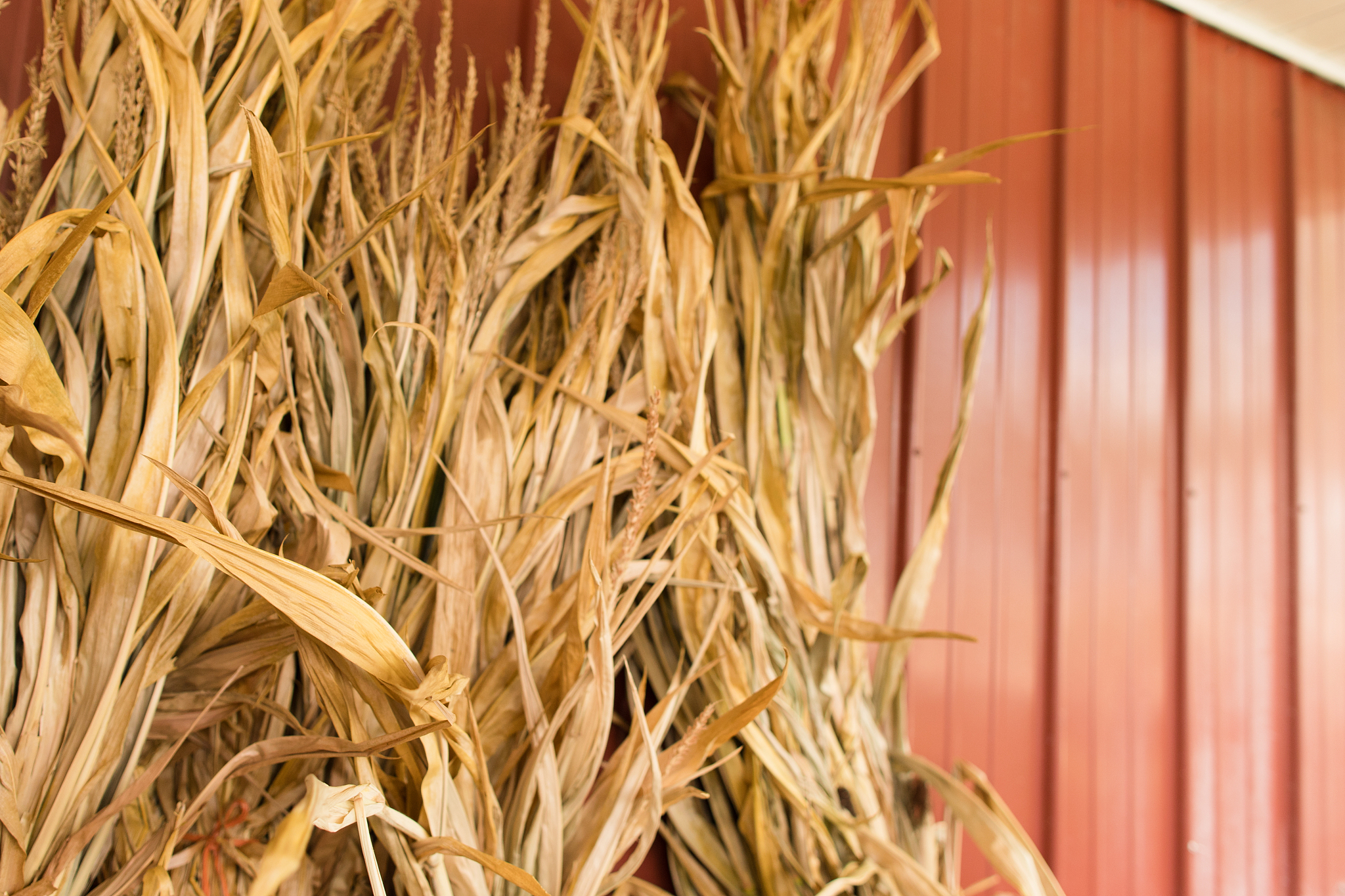 四平农业工程学校怎么样？教学质量、专业方向及就业前景分析