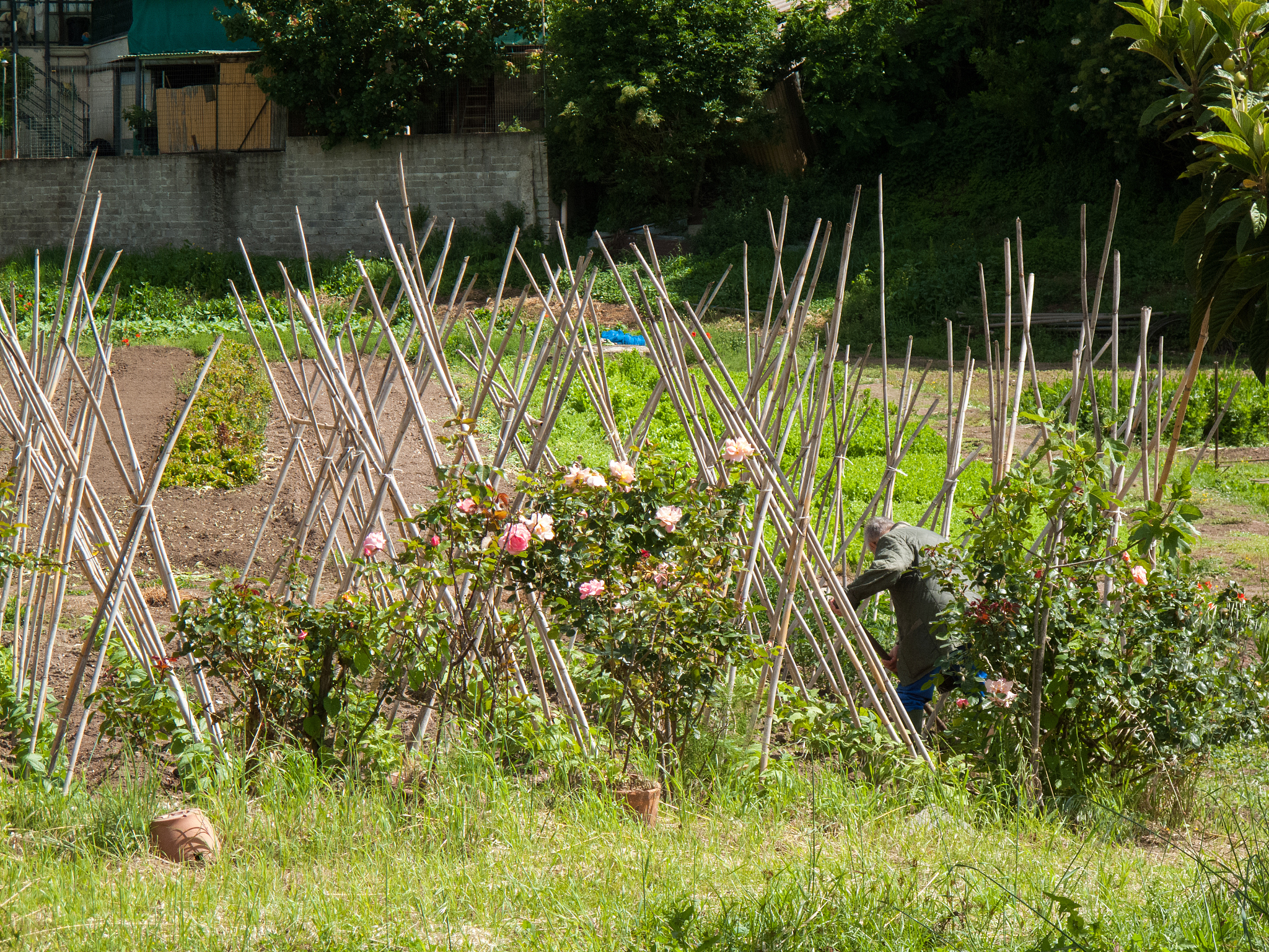 Pond Netting: Protect, Enhance, and Secure Your Aquatic Paradise