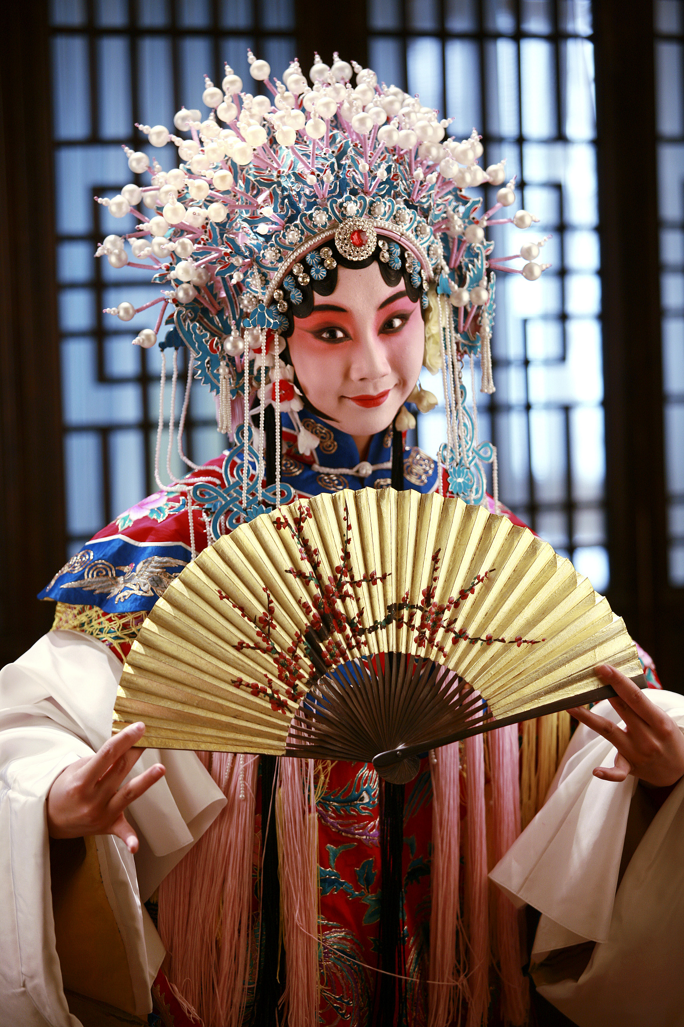 贵妃