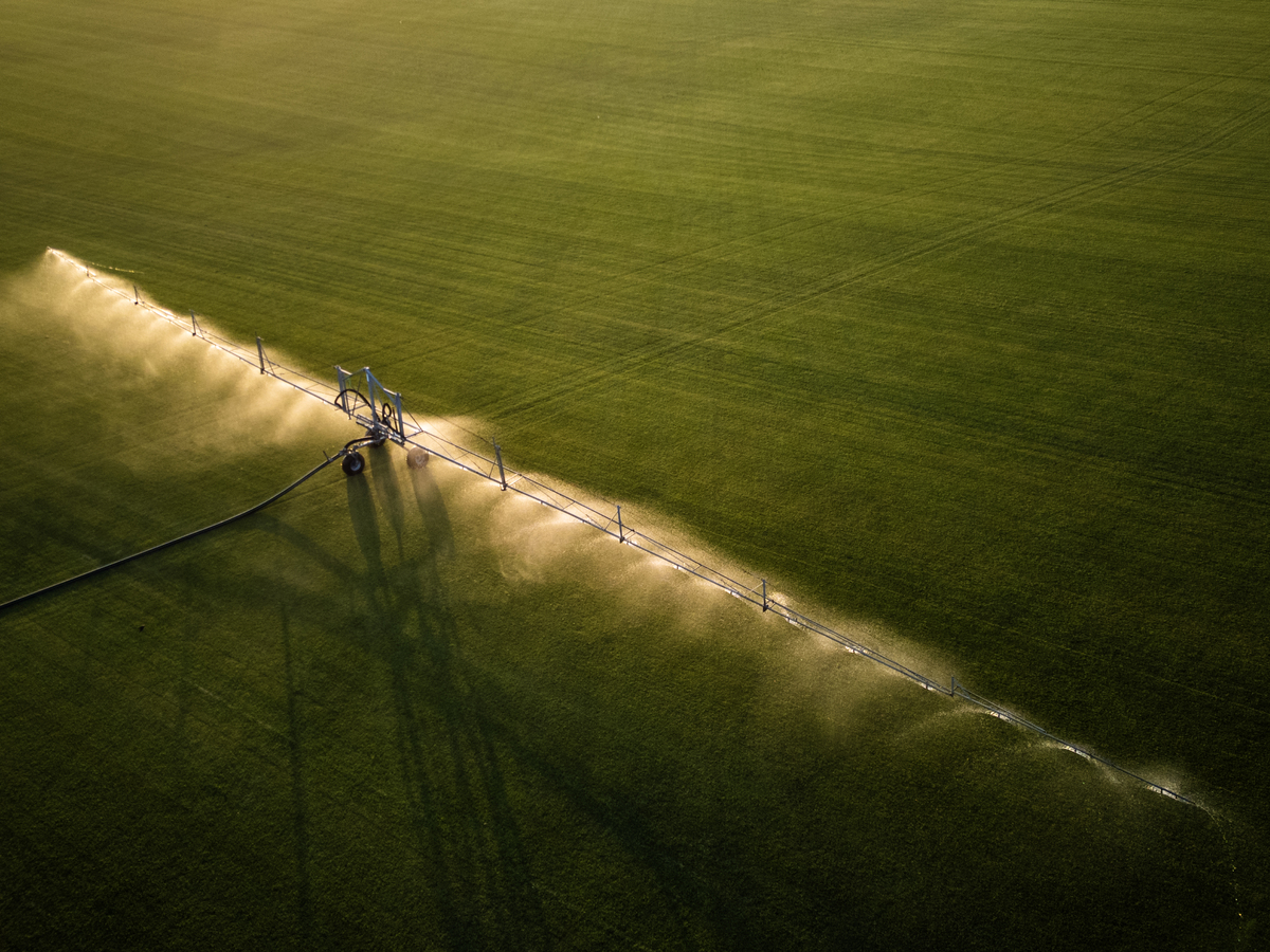 2018园艺技术专业就业方向与前景分析 - 未来发展趋势与就业机会