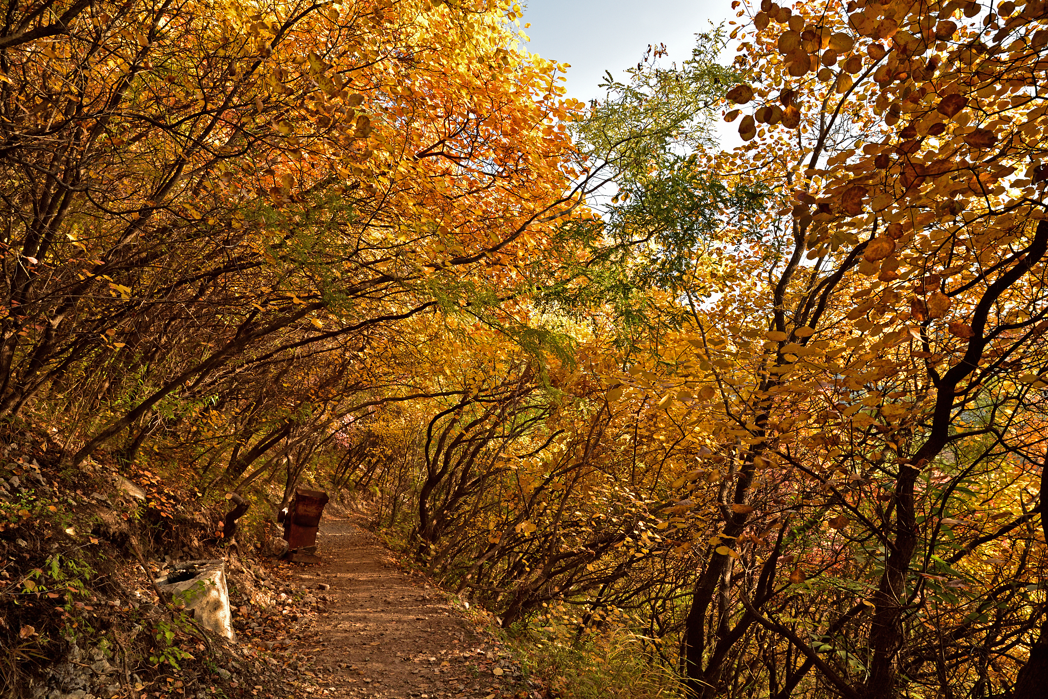 石家庄媒体曝光热线电话是多少？如何有效联系媒体？