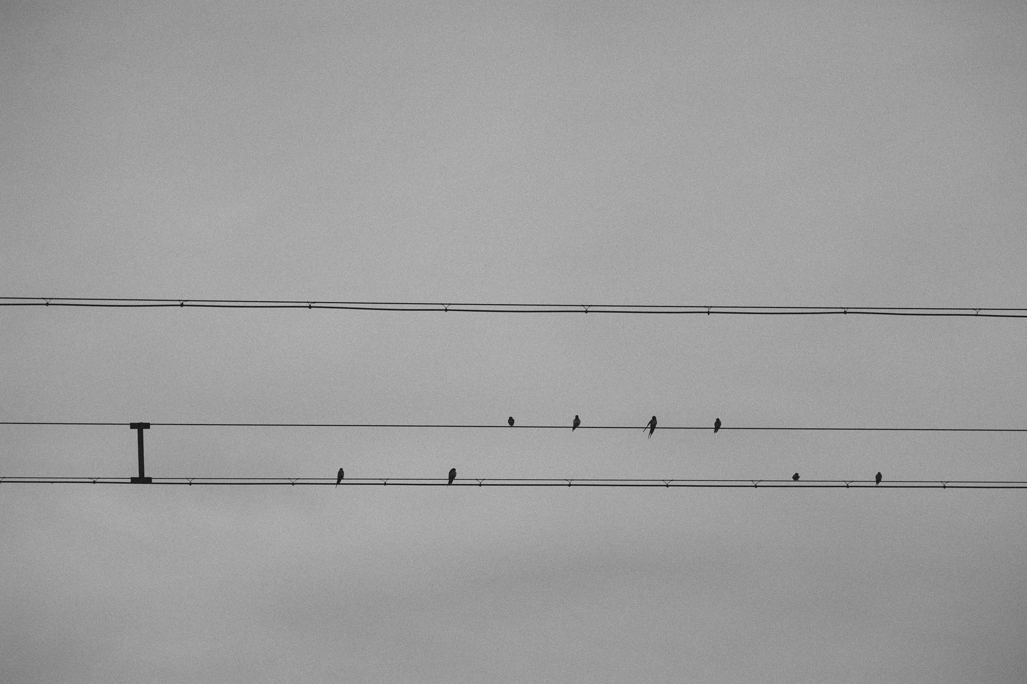 2020成都幼师学校3+2年制大专招生人数分析 - 招生人数、报考群体及未来趋势