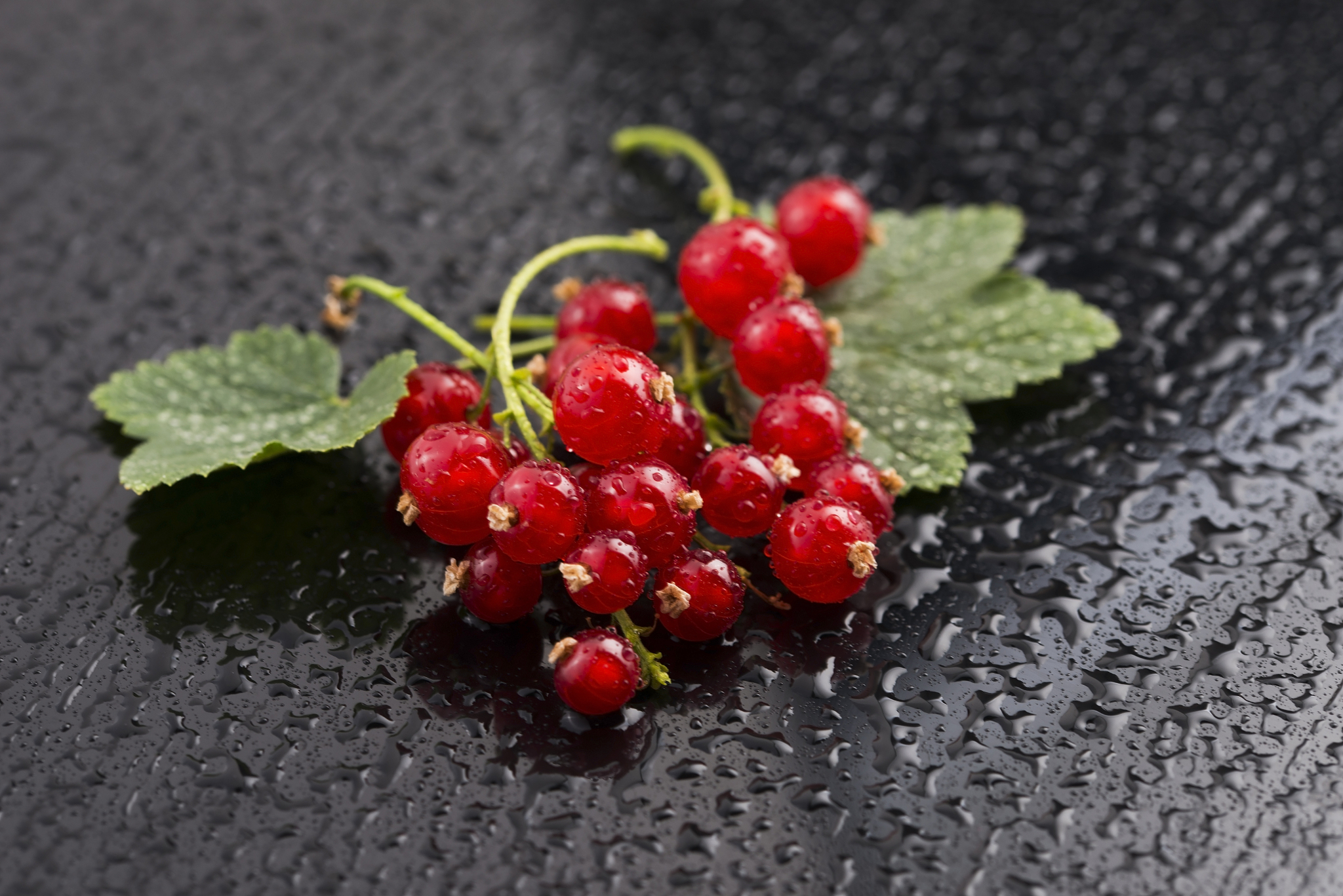 red currant close up