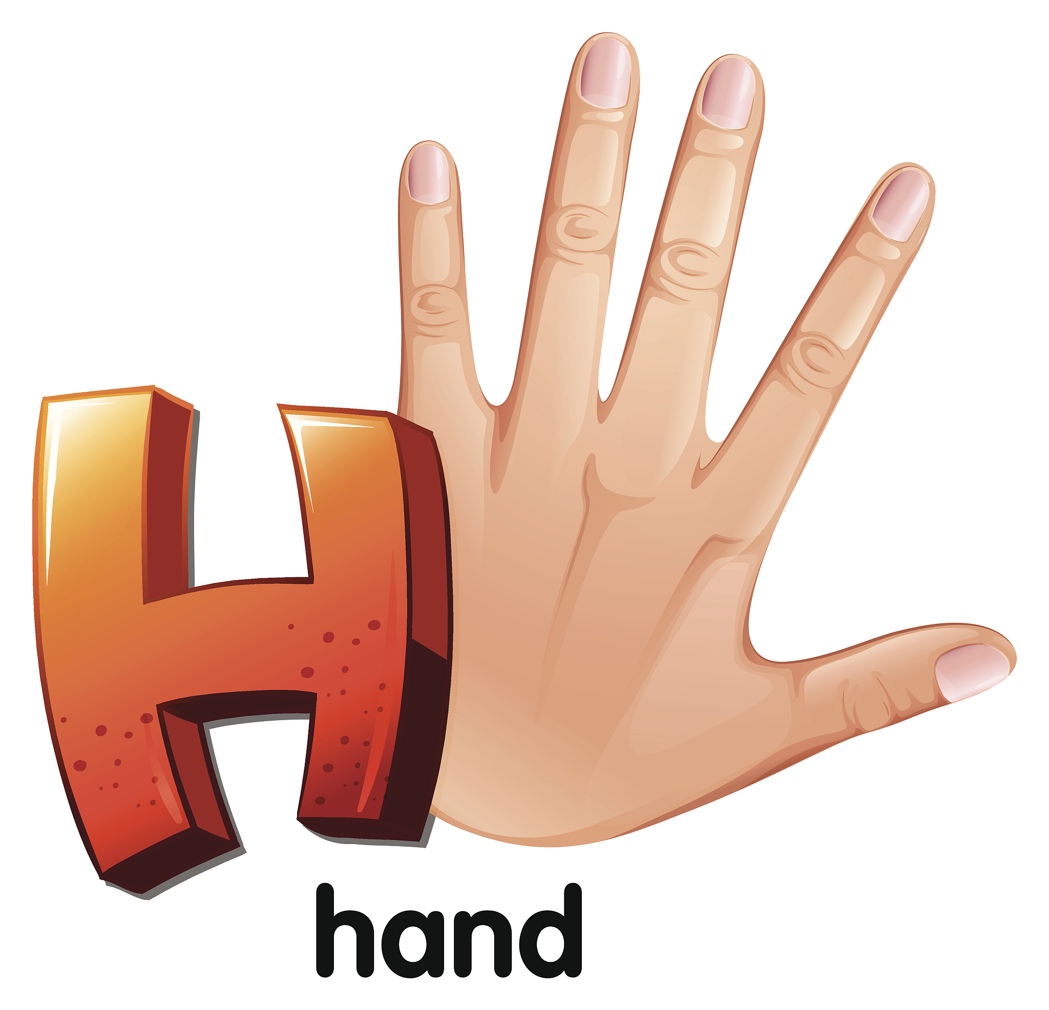 英文字母<strong>h</strong>,举起手,创造力,人,部分,贴标签,字母,艺术家,图像,计算机