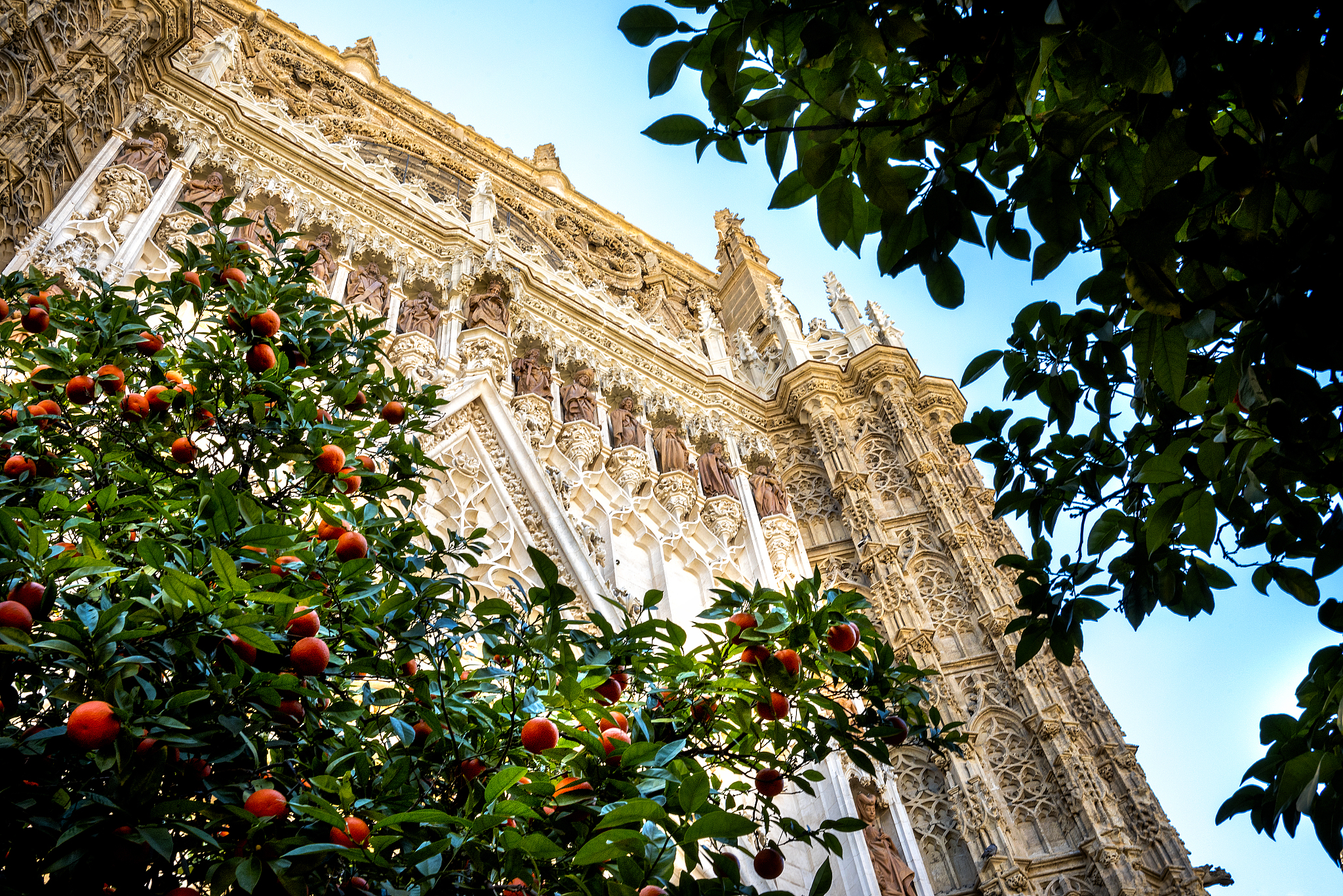 seville: cathedral of santa maria de la sede de sevilla, in anda