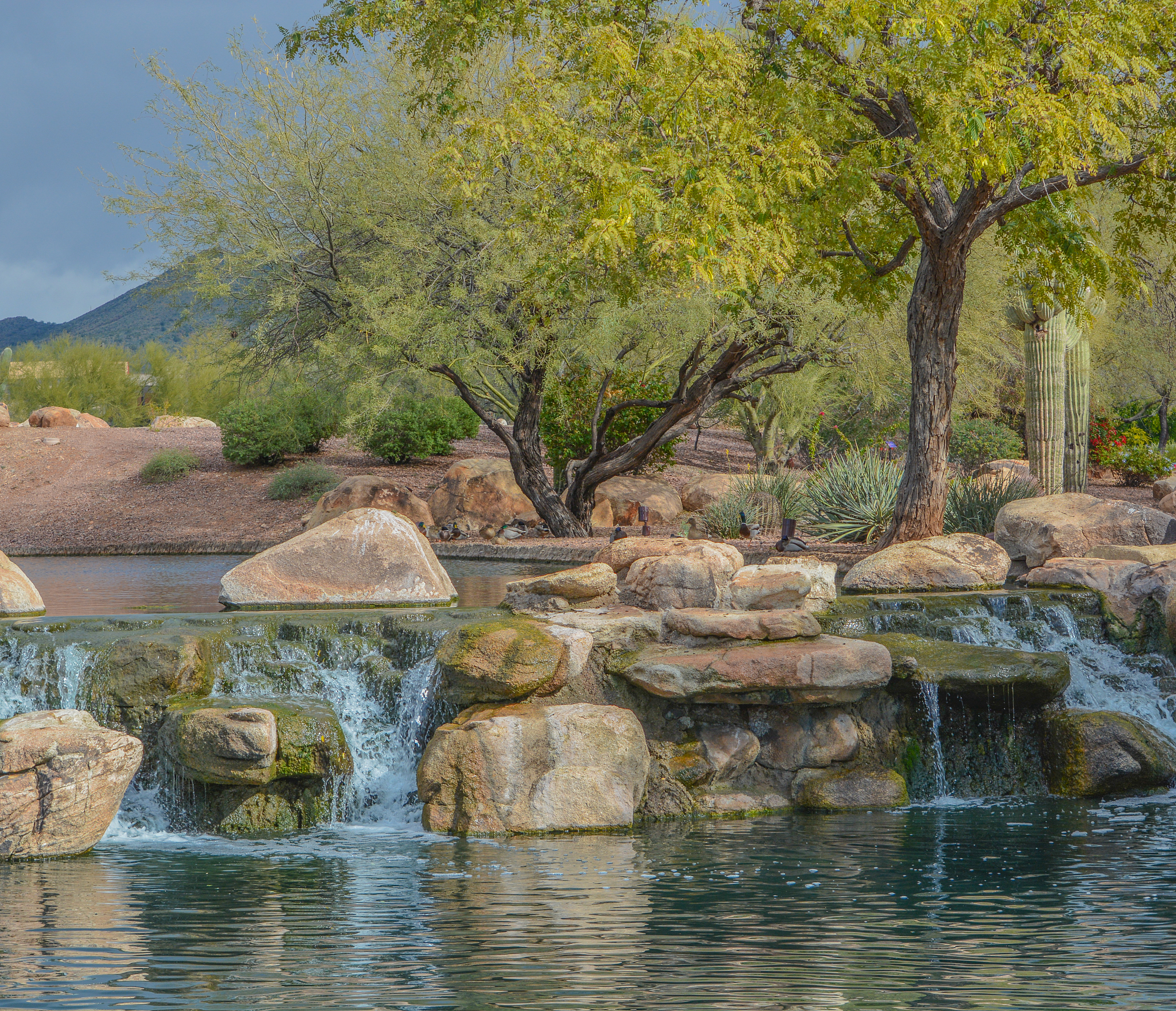 试分别用一句经典古诗词描述水景自然审美形、影、声、色四个方面的特色？