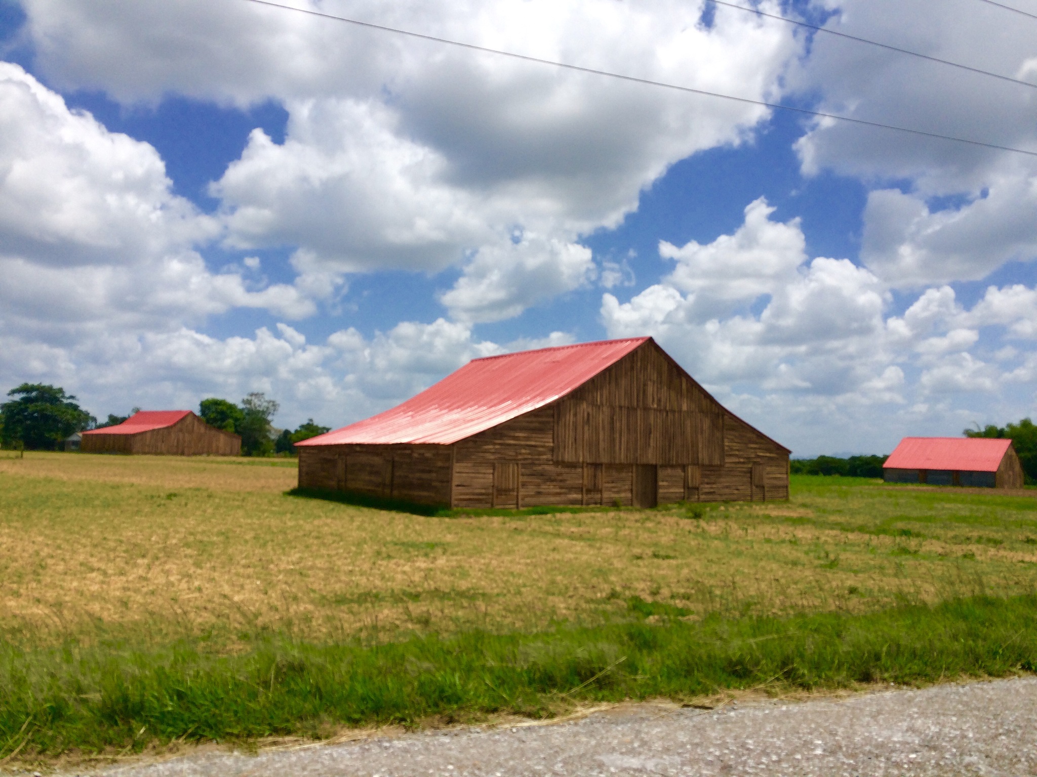 平凉农业学校烟草专业就业范围广不广？