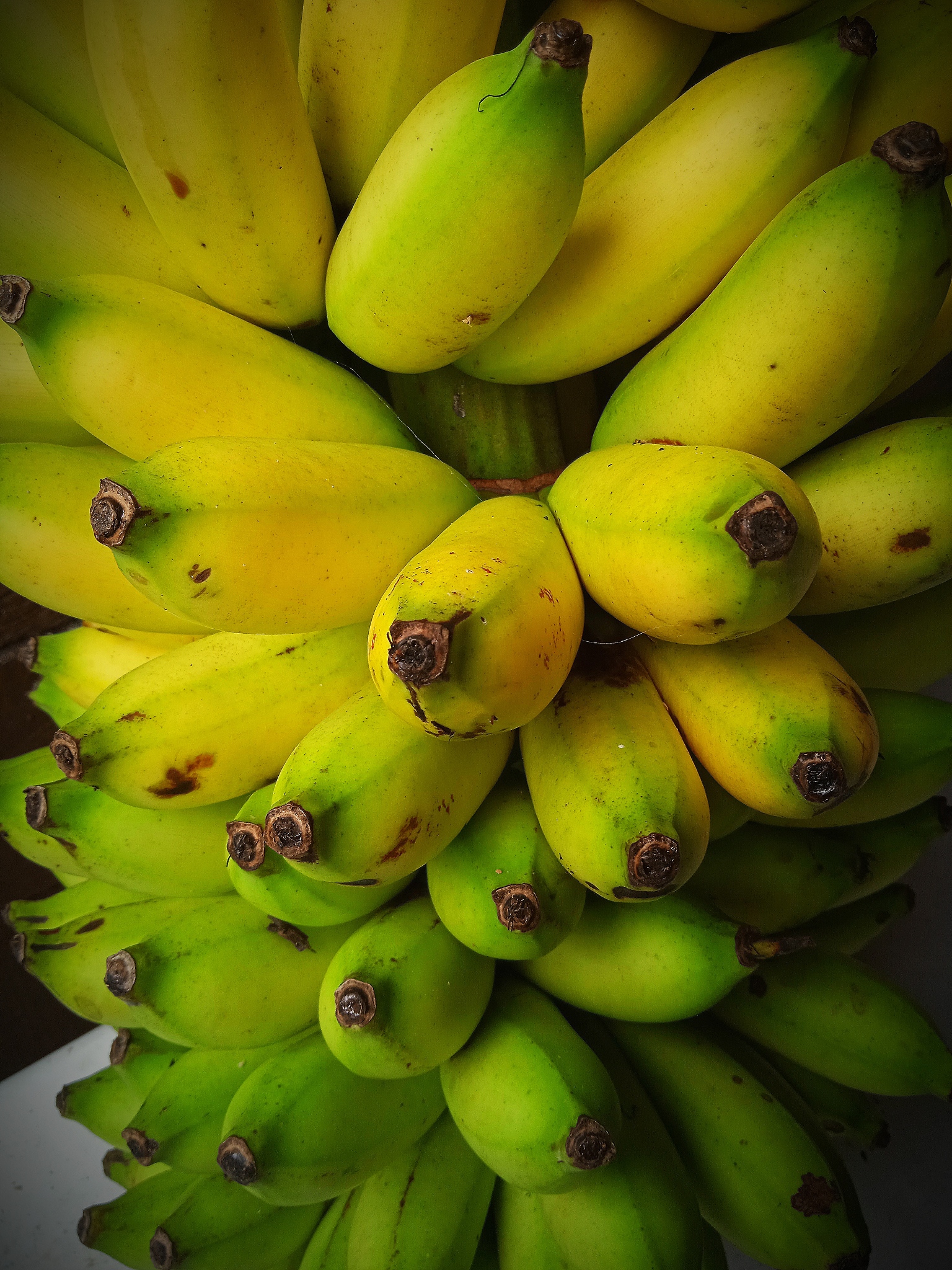 Buah-buahan Enak: Daftar Buah Segar dan Menyehatkan