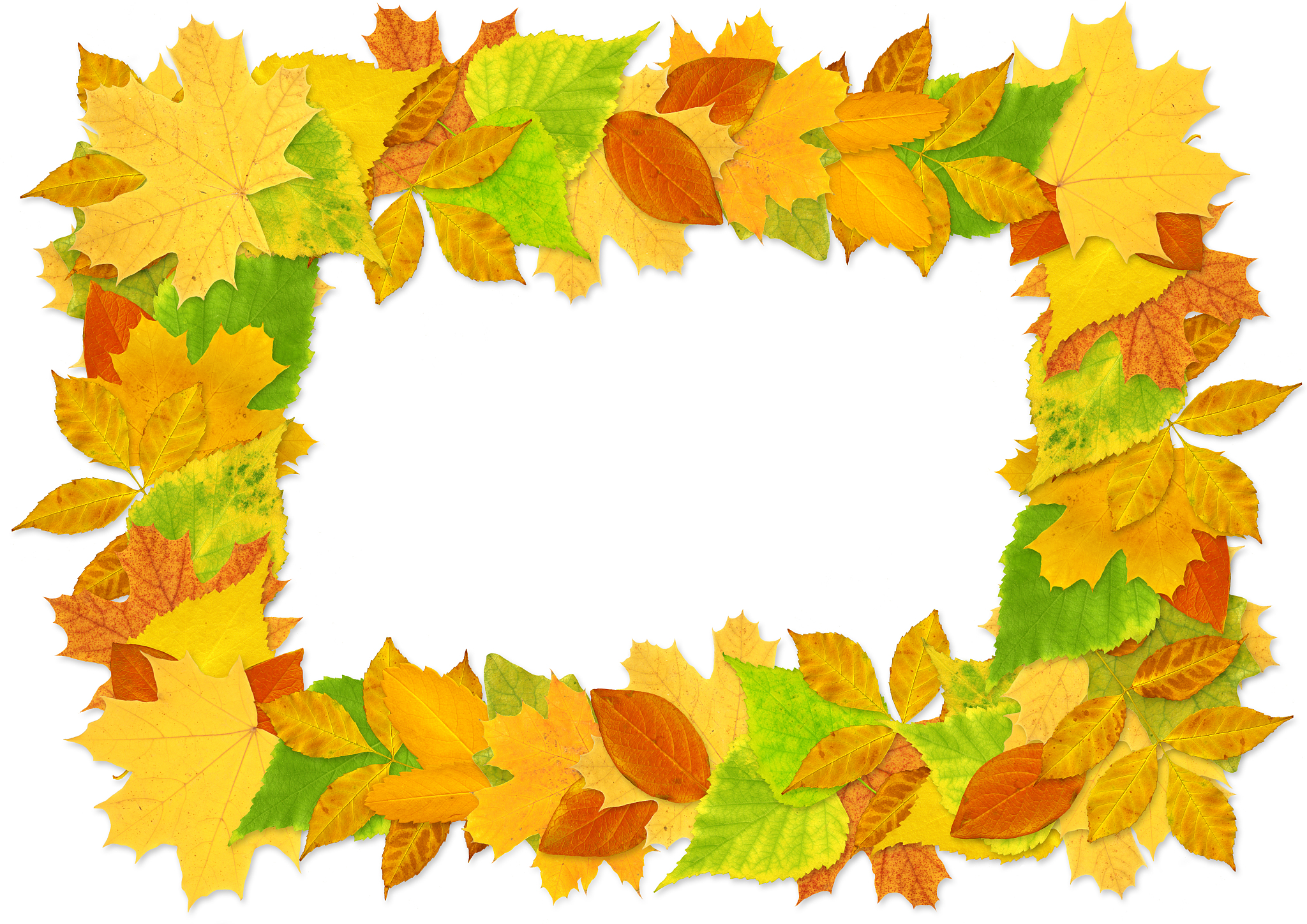 autumn leaves