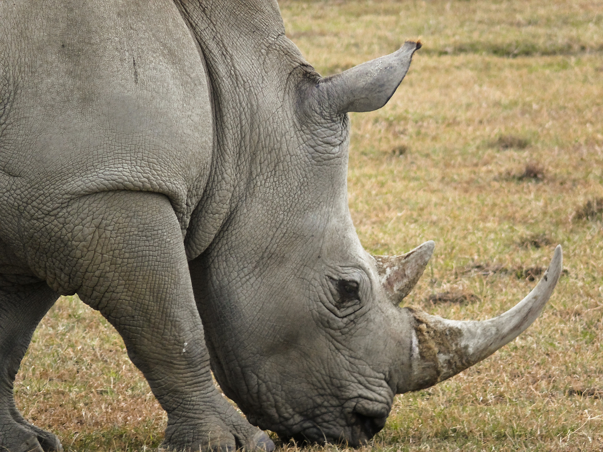 云南林业职业技术学院五年制大专2021年有哪些专业