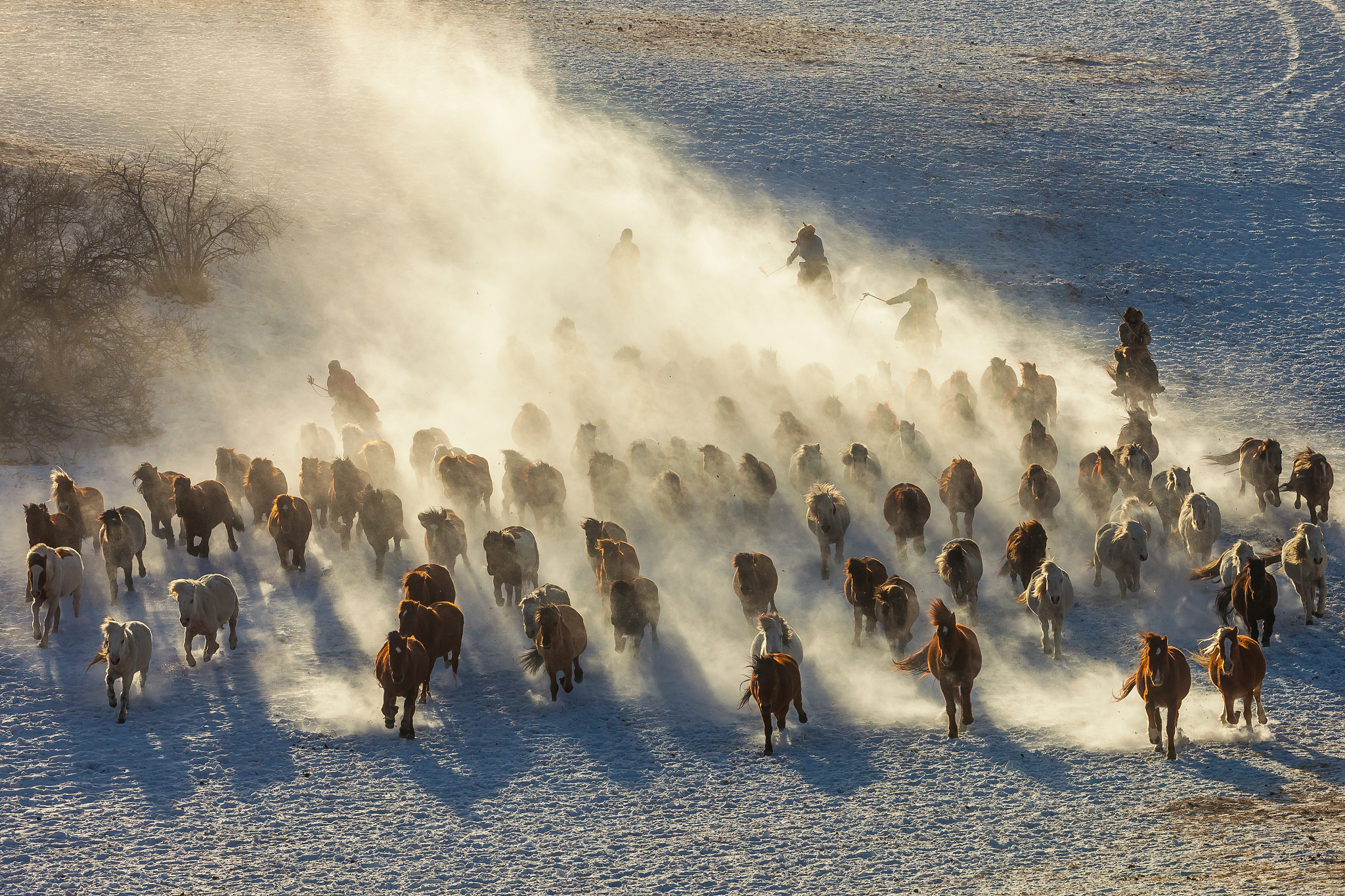 赤峰媒体曝光热线电话是多少？维护权益必看！