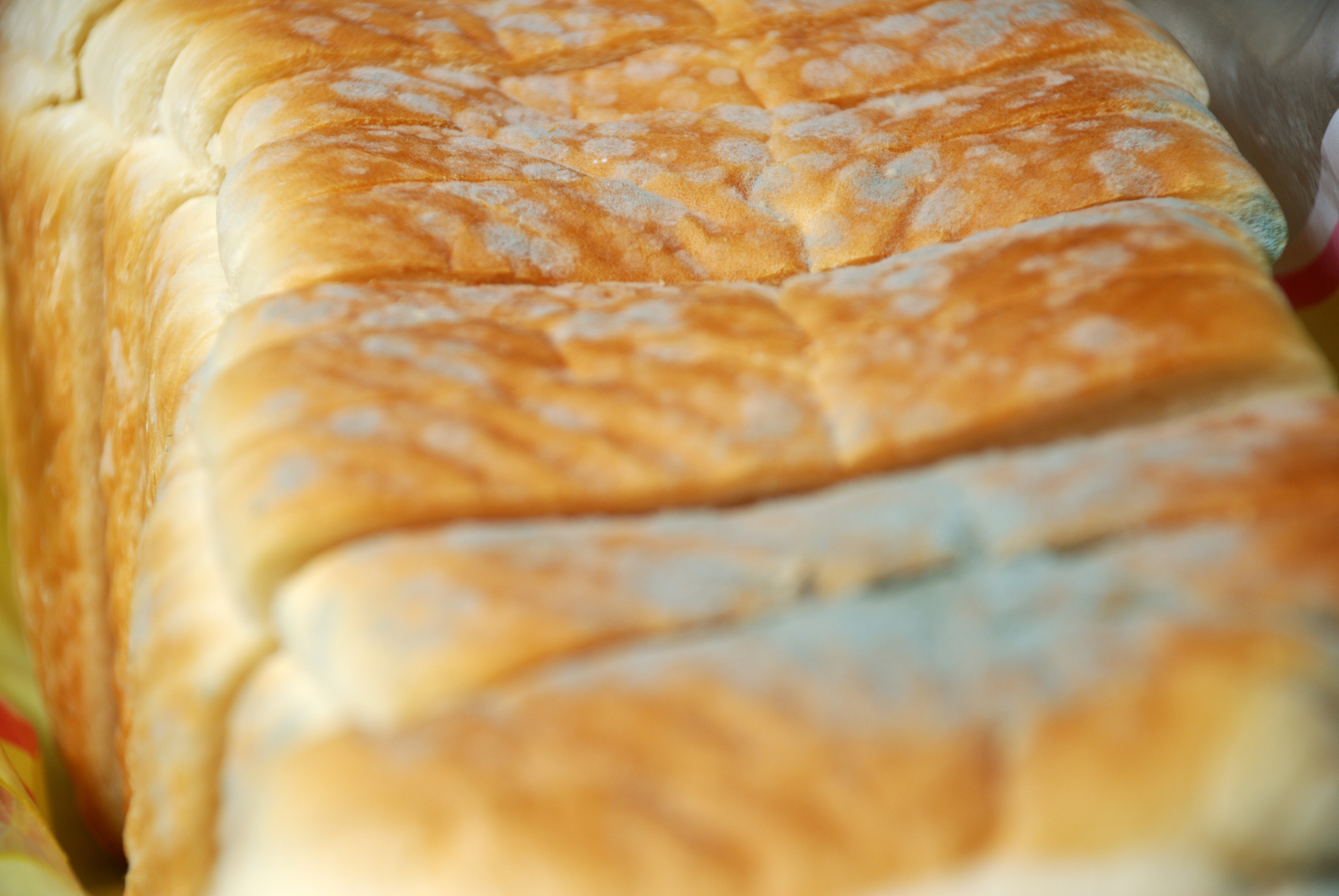 人一天要吃多少主食