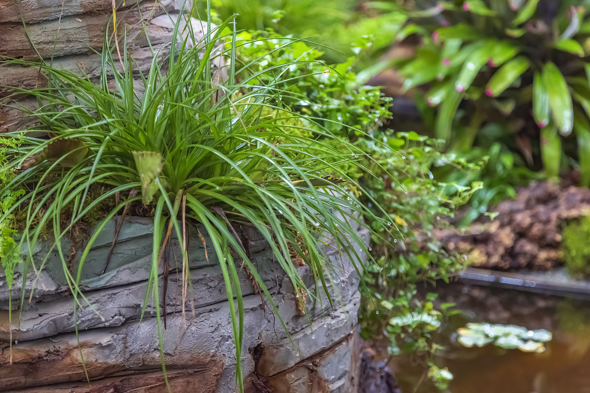 云南热带作物职业学院怎么样？教学水平及生态环境保护教育