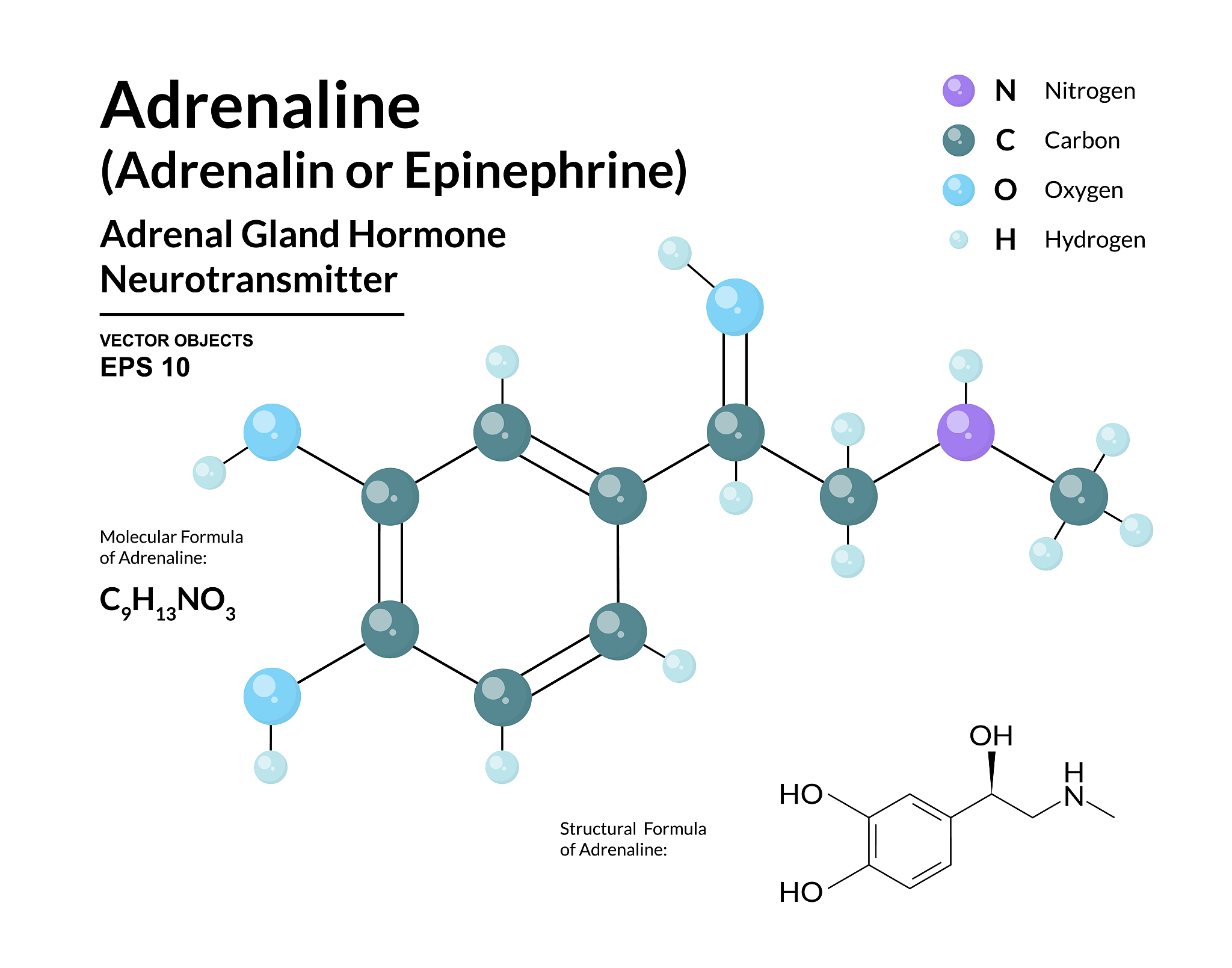 《MOLECULAR AND CELLULAR BIOLOGY》：权威生物学期刊推荐理由