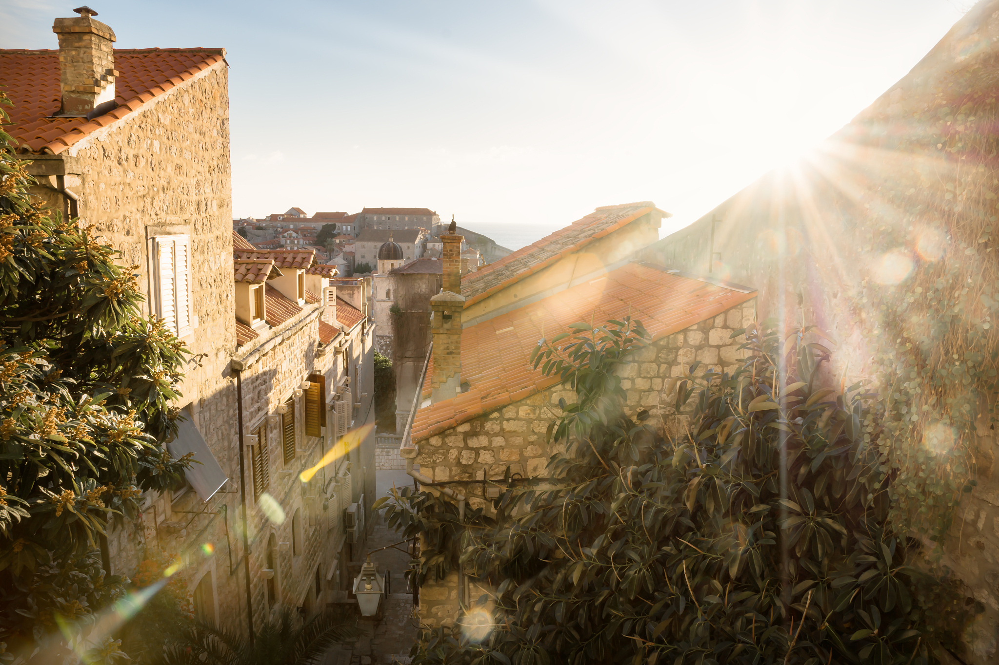 view over the roofs of dubrovnik with the last winter sun and le