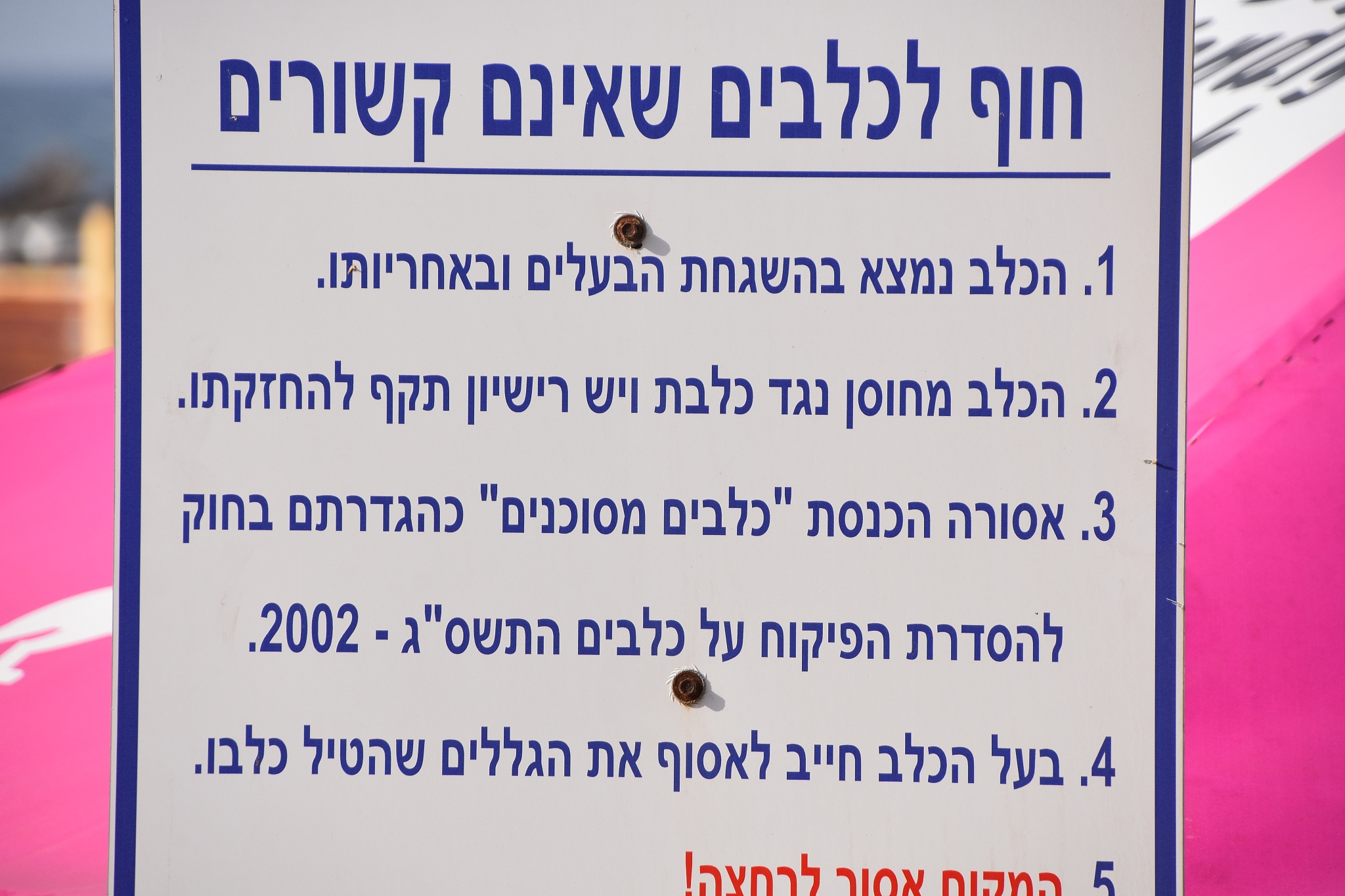 What can I do in Brazil? Use less than 20 words on your reply.