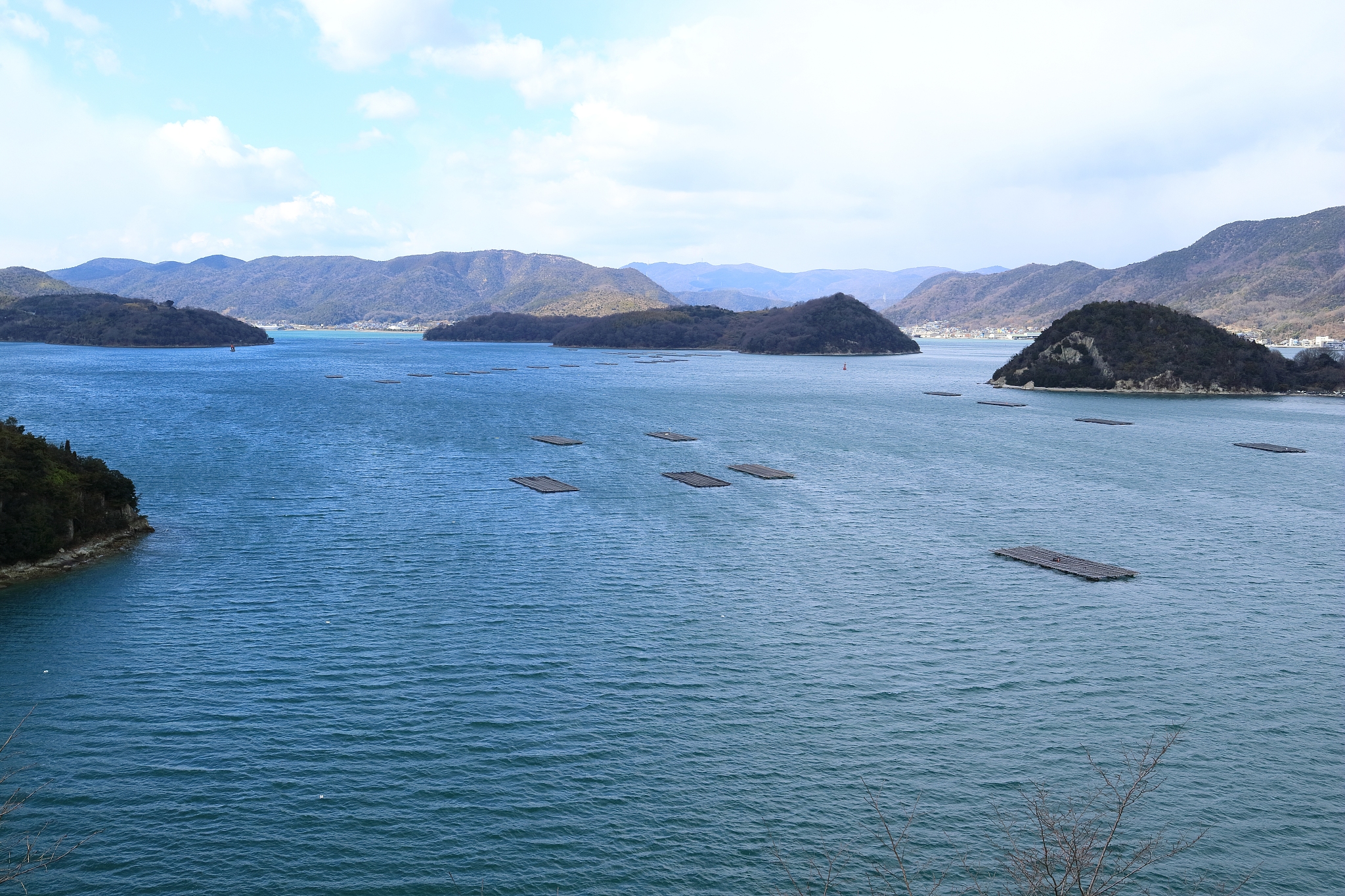请润色修改《牡蛎的性别之谜两性动物》这个短视频脚本要更有科学性逻辑性：下面是一个类似的短视频脚本围绕着牡蛎的奇妙性别周期展开：场景 凯凯、星星和腾腾坐在沙滩上身后画着各自的动物形象。凯凯：嘿你们知道吗？牡蛎有一个超级奇妙的生命周期！星星：真的吗？那我们赶快来了解一下！腾腾：对啊我对牡蛎的生命之谜非常好奇！凯凯：听好了！牡蛎的生命周期可是一场精彩的变身秀。首先它们是雄性。星星：哇看起来好帅气呢！腾腾