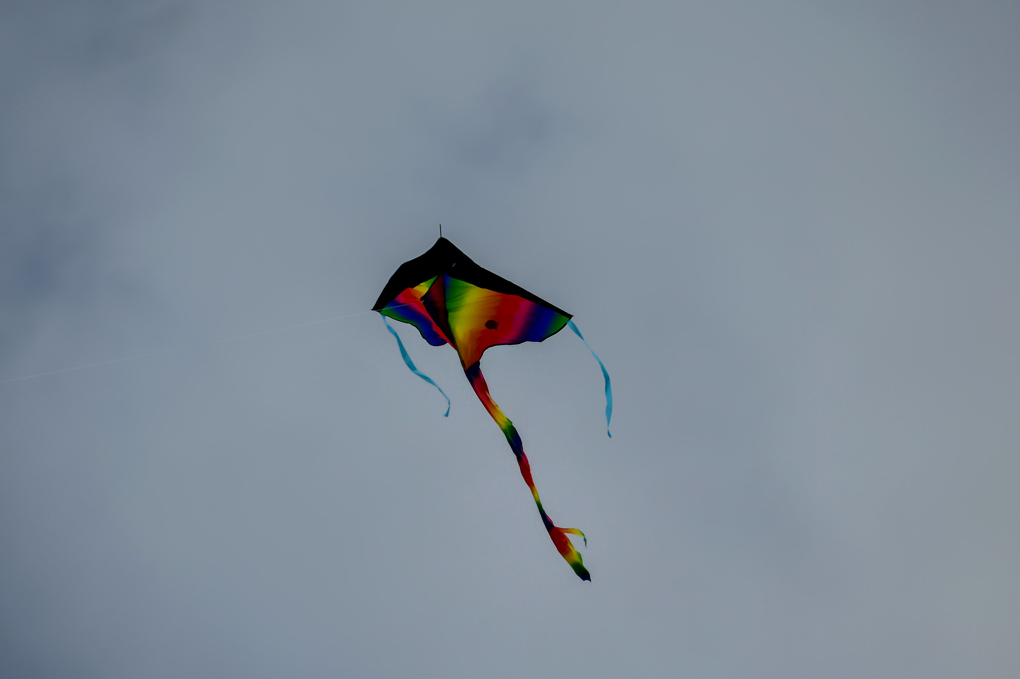 kite in the sky, in sweden scandinavia north europe