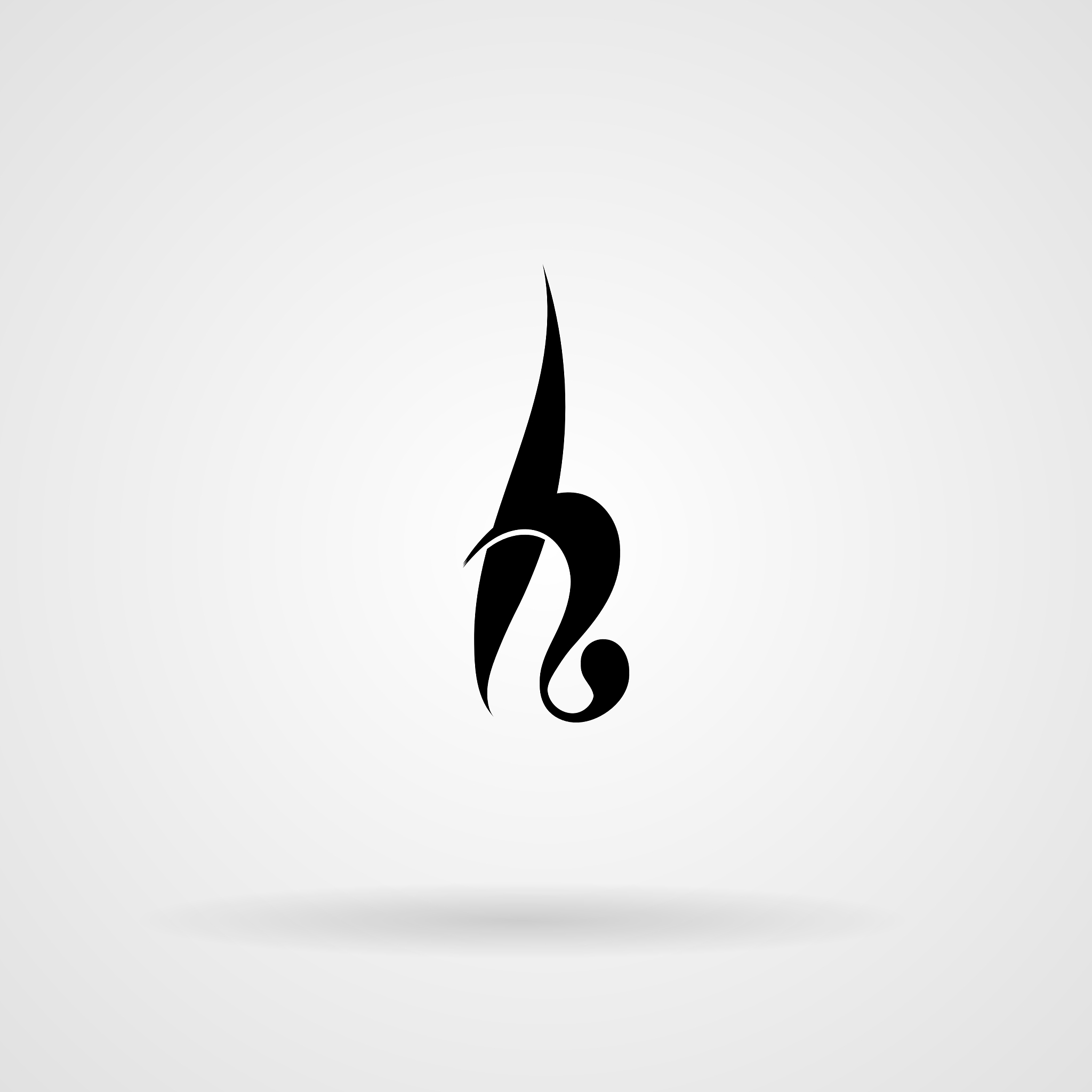 calligraphic monogram letters in the
