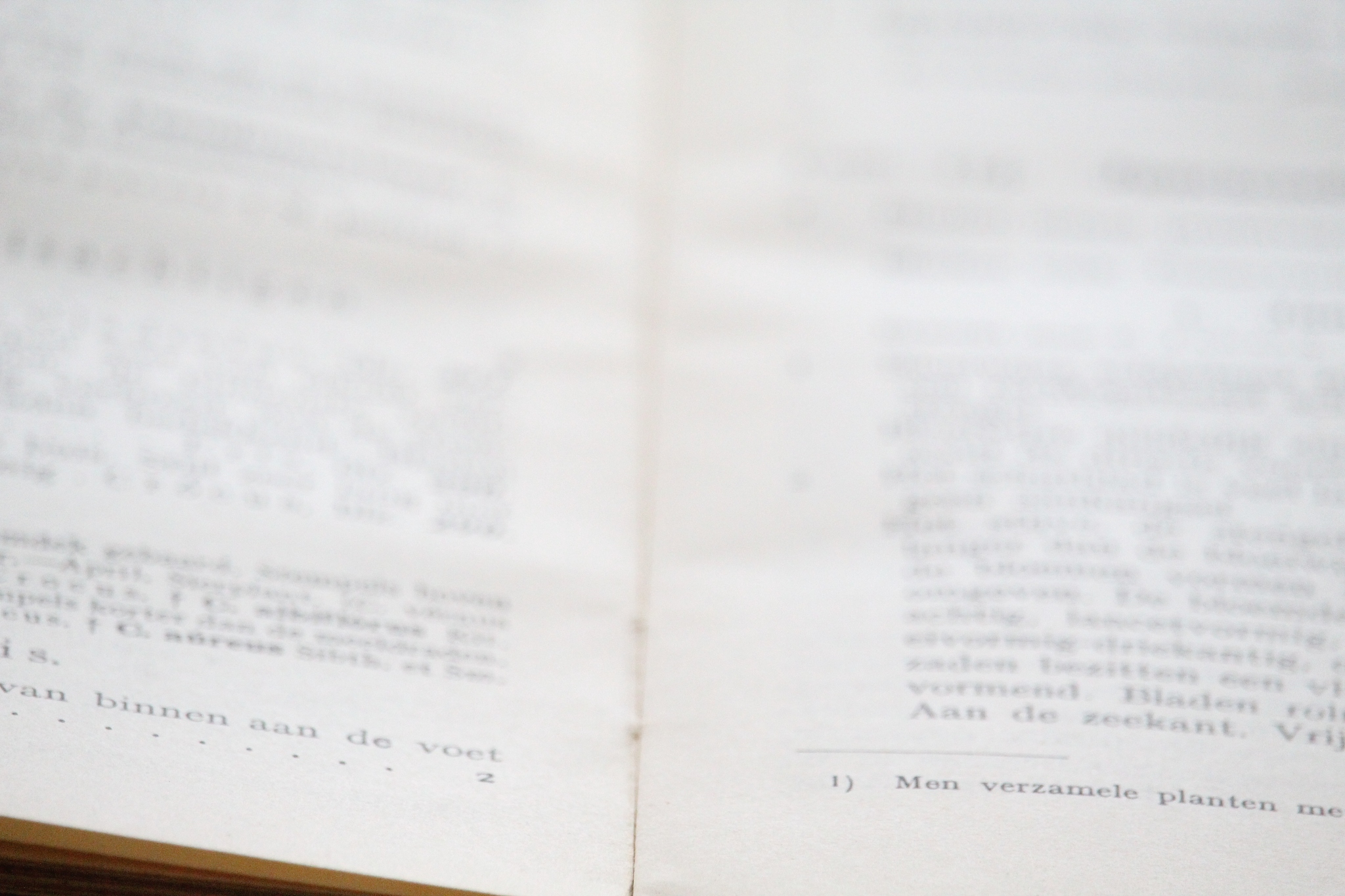 当代文学主题与风格解析：以《白夜行》和《活着》为例