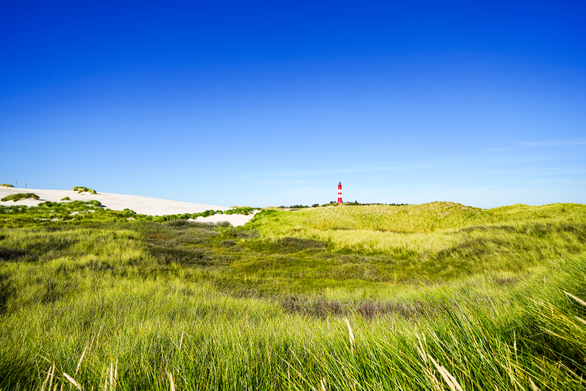 写篇500字风不能把我带走那我就去找风。的旅游短视频治愈文案