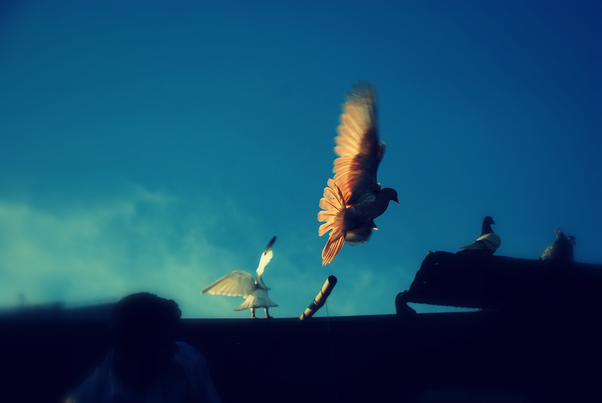 豪迈词：雄鹰展翅，志在千里