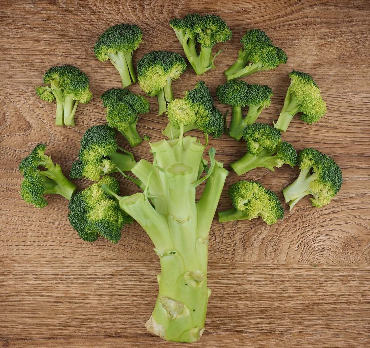 网络梗HPV里面的西兰花是什么