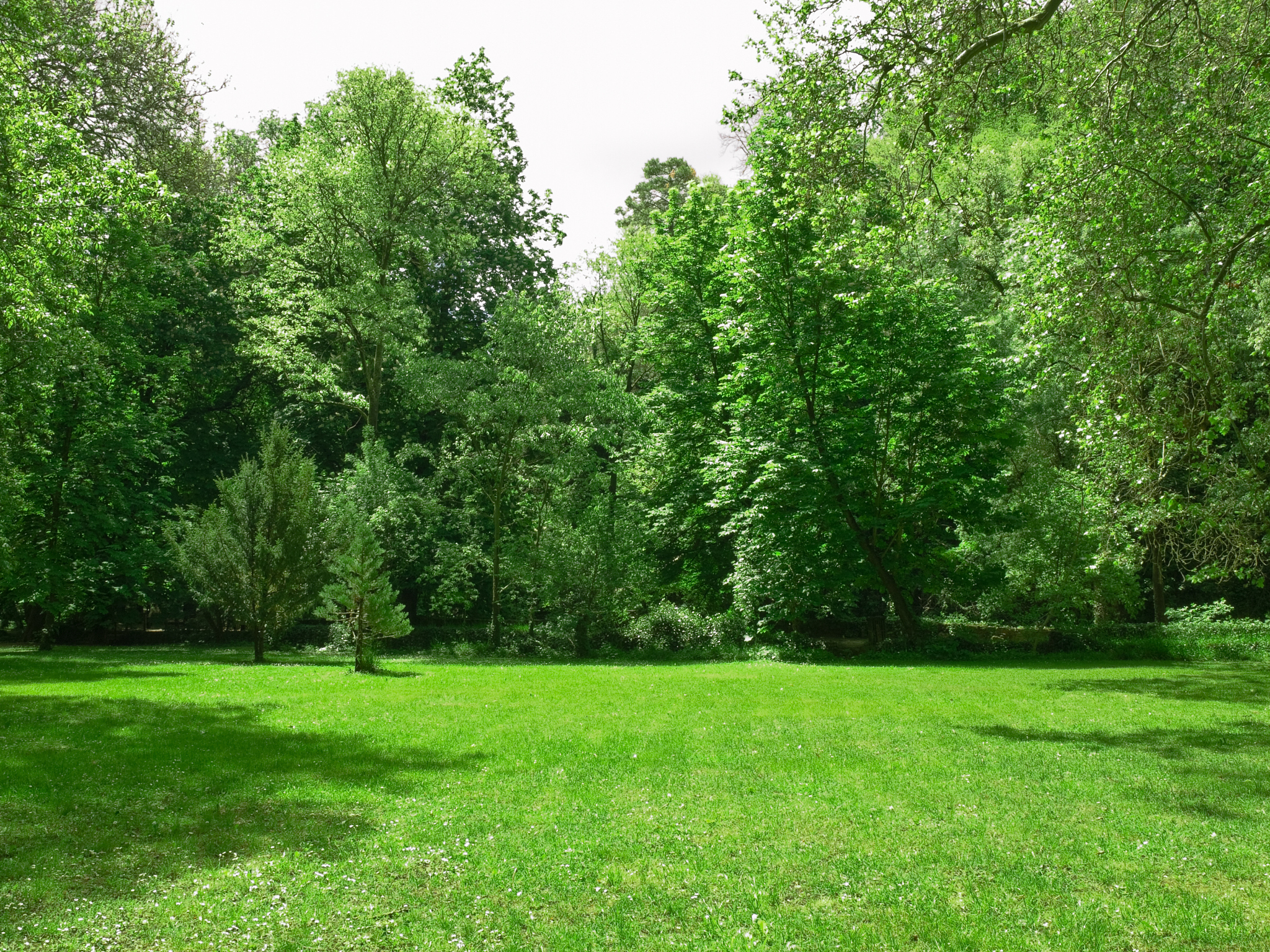 关于绿色的四字短句