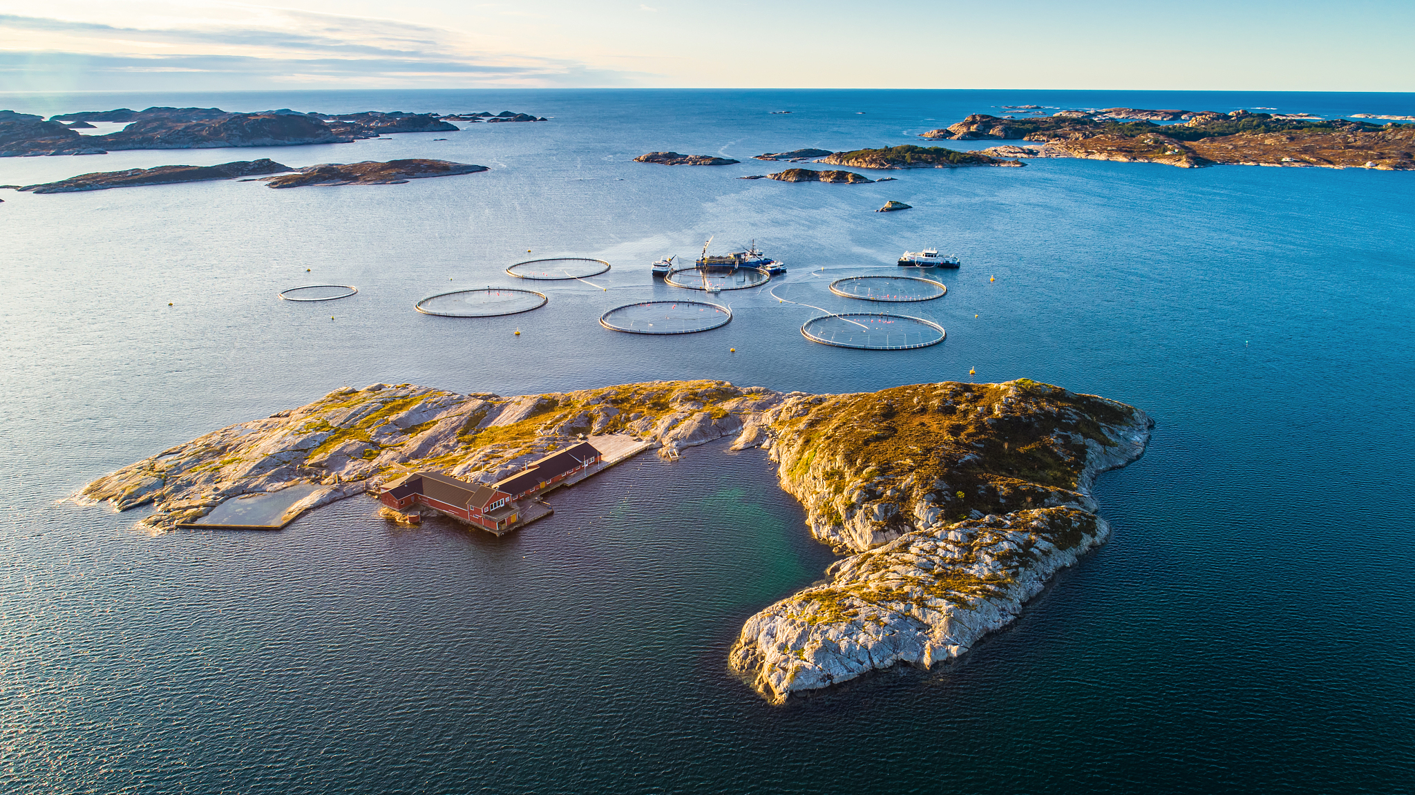 salmon fish farm. hordaland, norway.