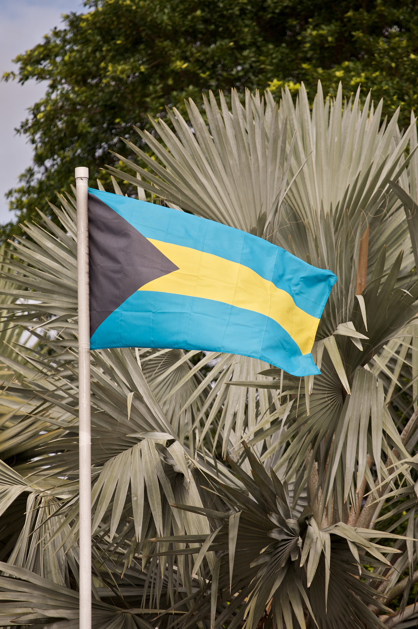 泸州树风职业学校2020单招计划 - 毕业生就业前景