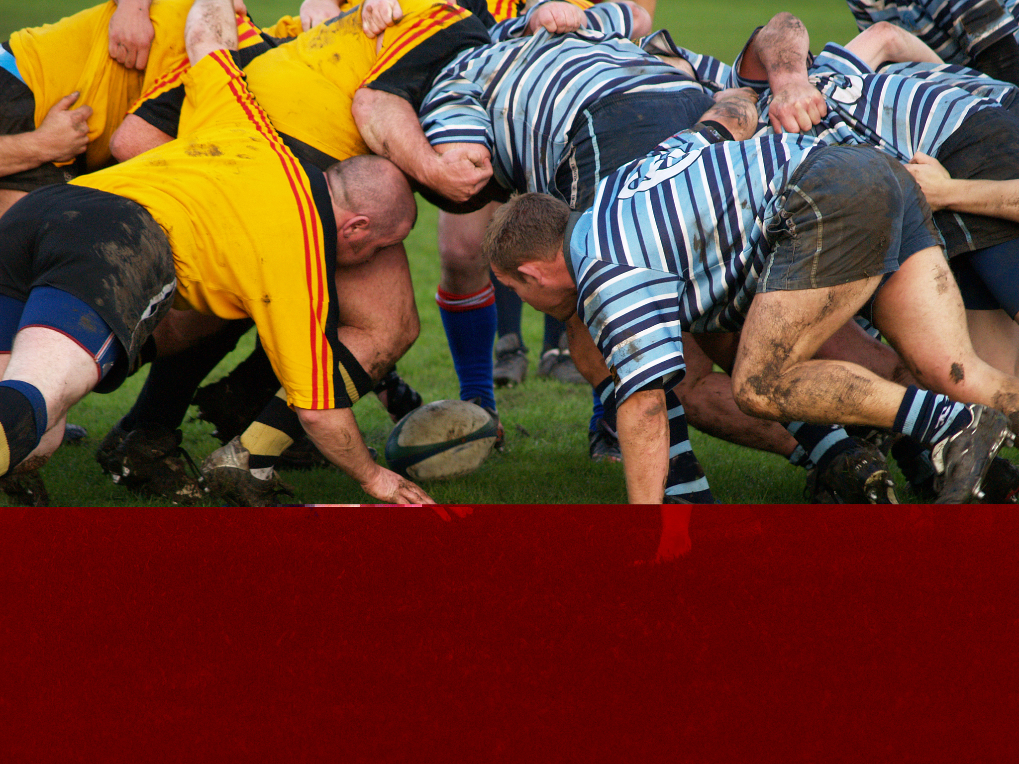 11岁世界冠军！王子今的励志故事：努力与收获