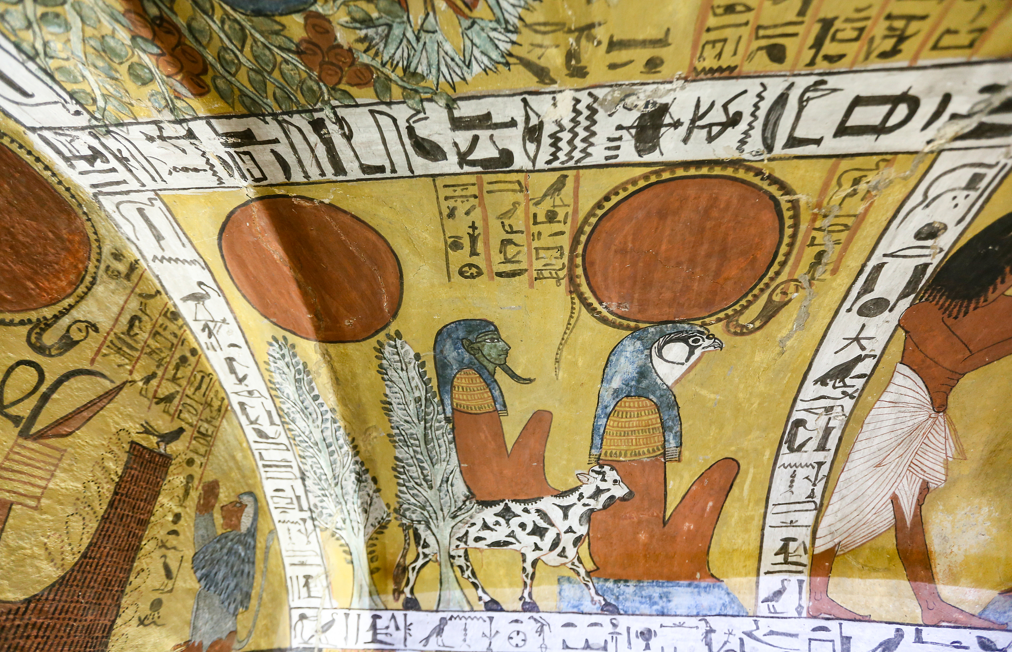 湖南都市职业学院(中职部)城市轨道交通运营服务专业怎么样？发展前景分析