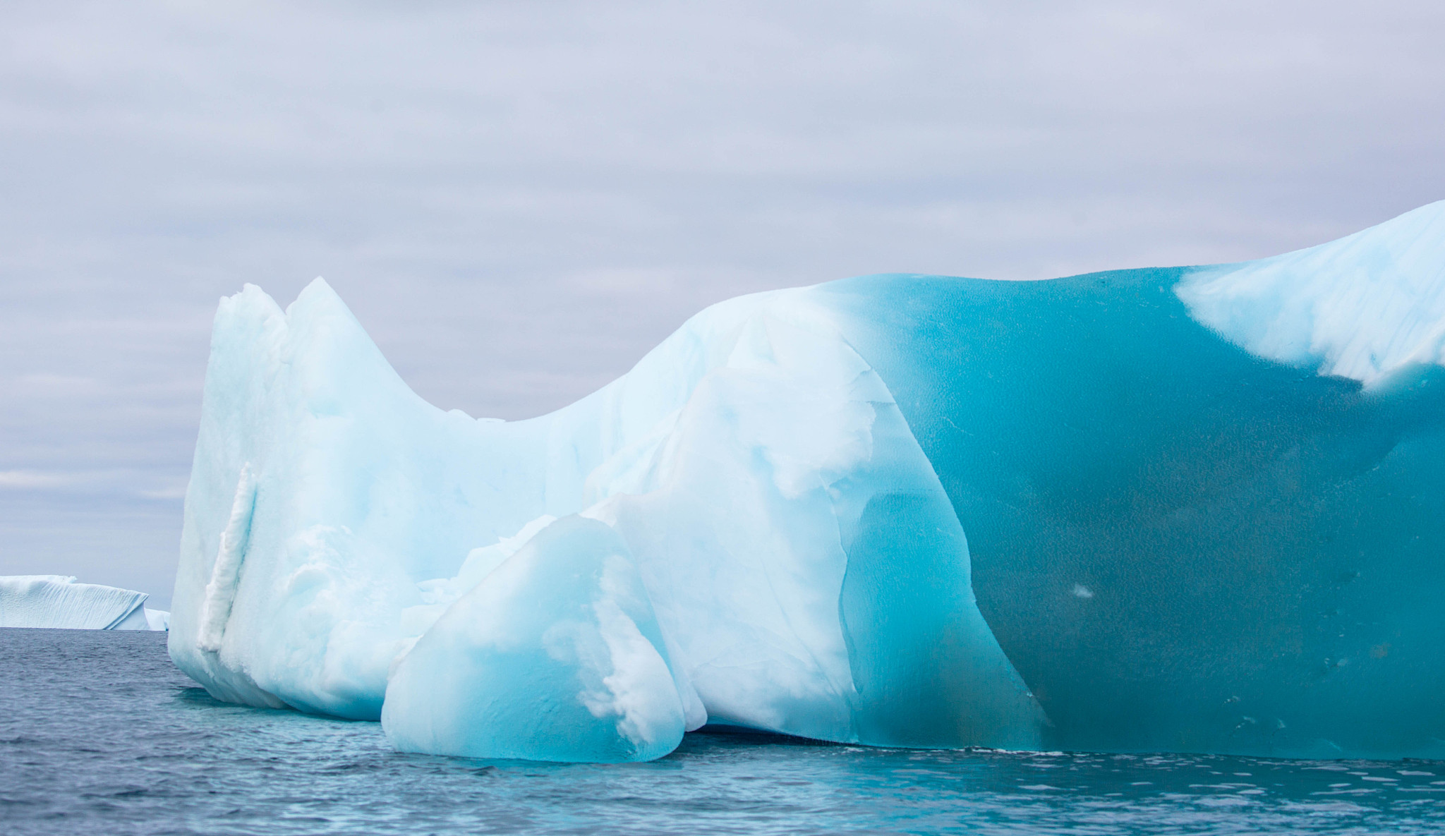 antarctica: iceberg off of penguin island