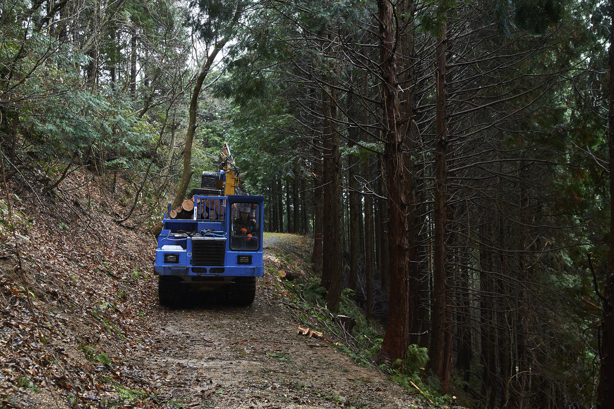 甘肃林业职业技术学院专业介绍：特色专业及发展贡献