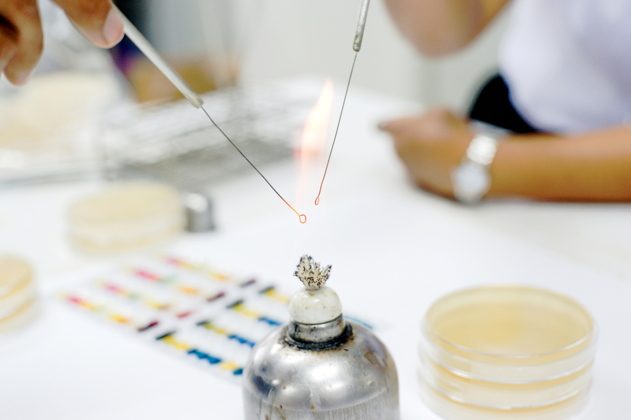 microbiologist burn loop, aseptic technique.