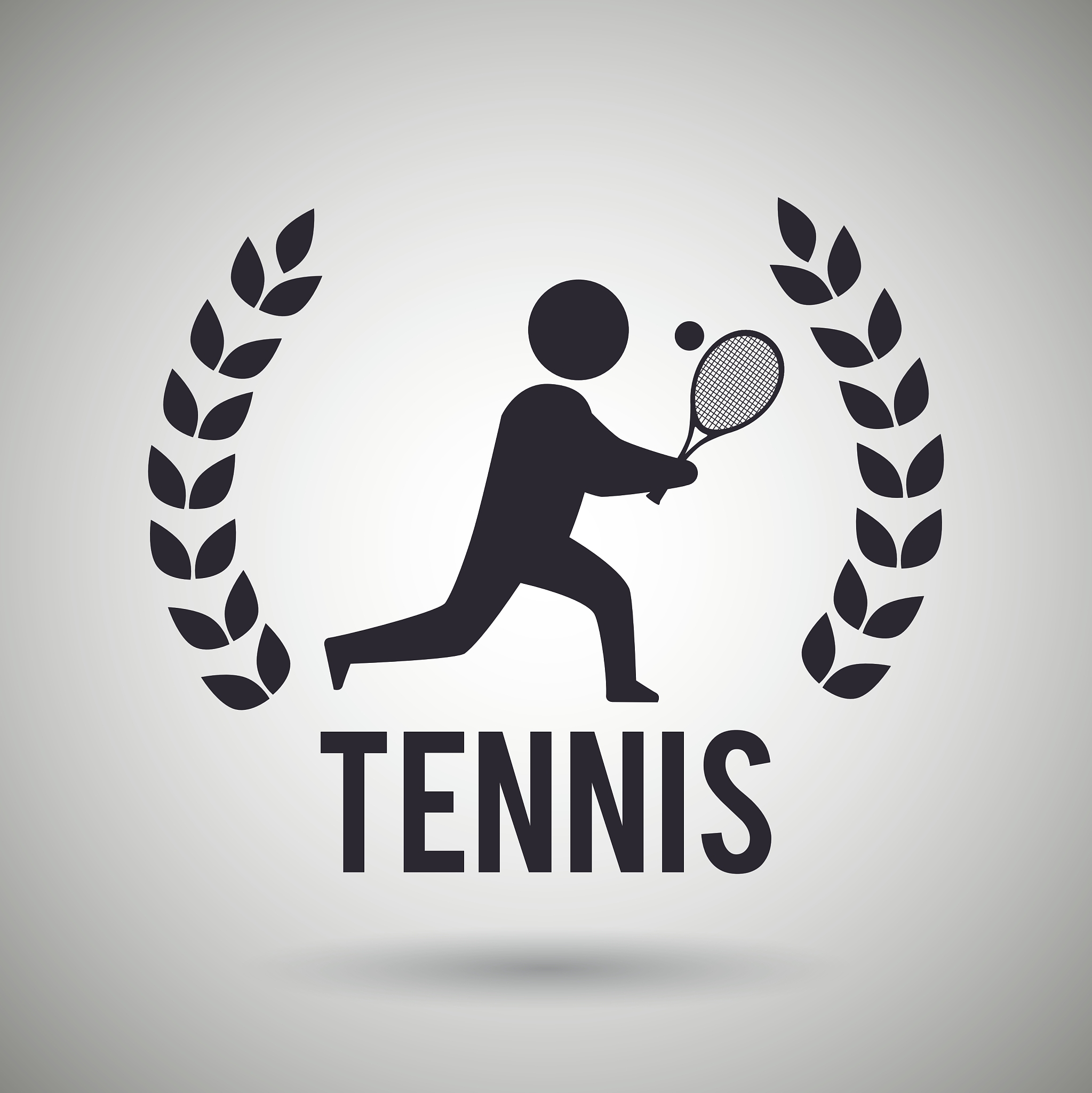 谈 对网球认识与理解 并对校园网球文化建设的合理化意见。五百字