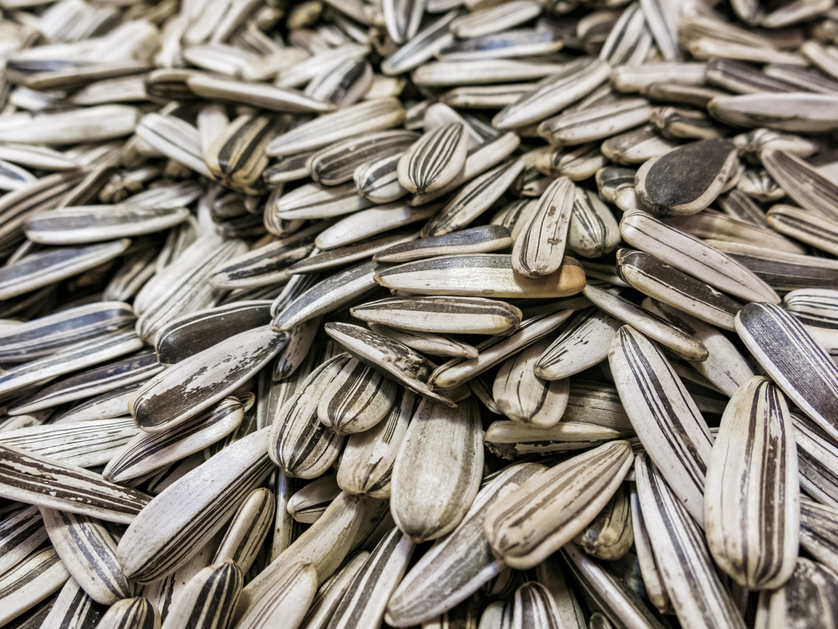 🔥凉拌瓜子？你敢挑战吗？！🔥 这口味绝了！